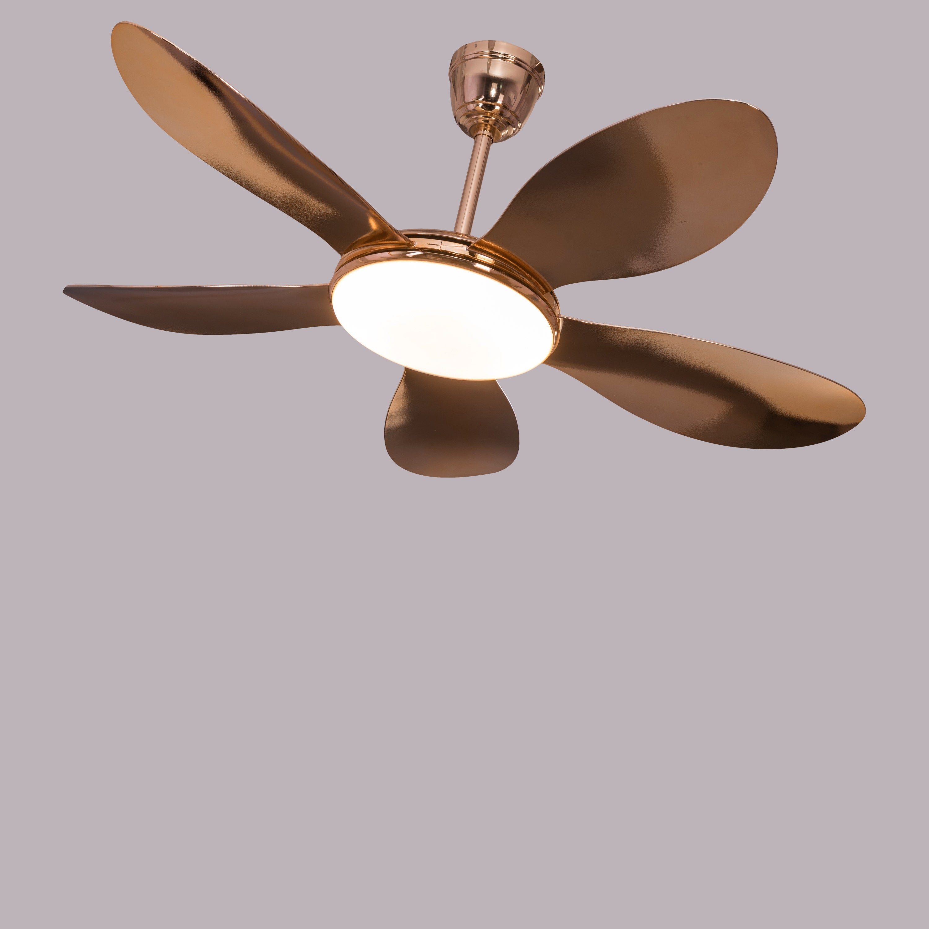 Thing For Bling (127 cm Span, Gold Plated Metal Body, Gold Plated ABS Blades) Dimmable LED With Remote Control Ceiling Fan