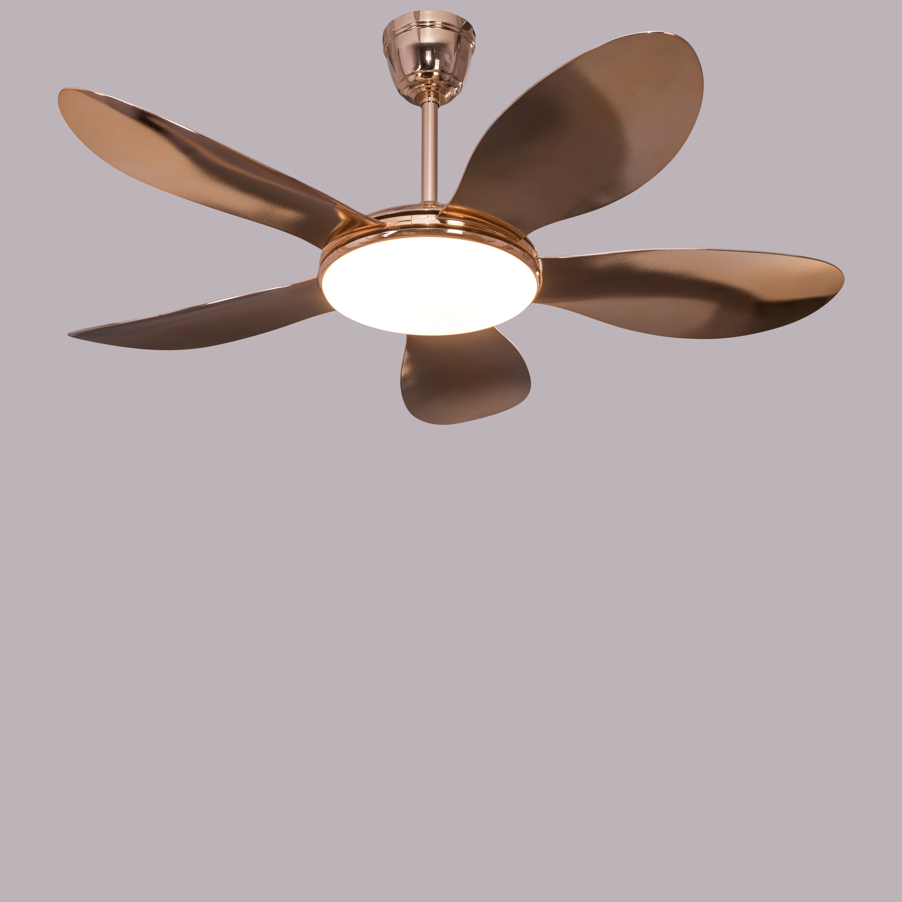 Thing For Bling (127 cm Span, Gold Plated Metal Body, Gold Plated ABS Blades) Dimmable LED With Remote Control Ceiling Fan