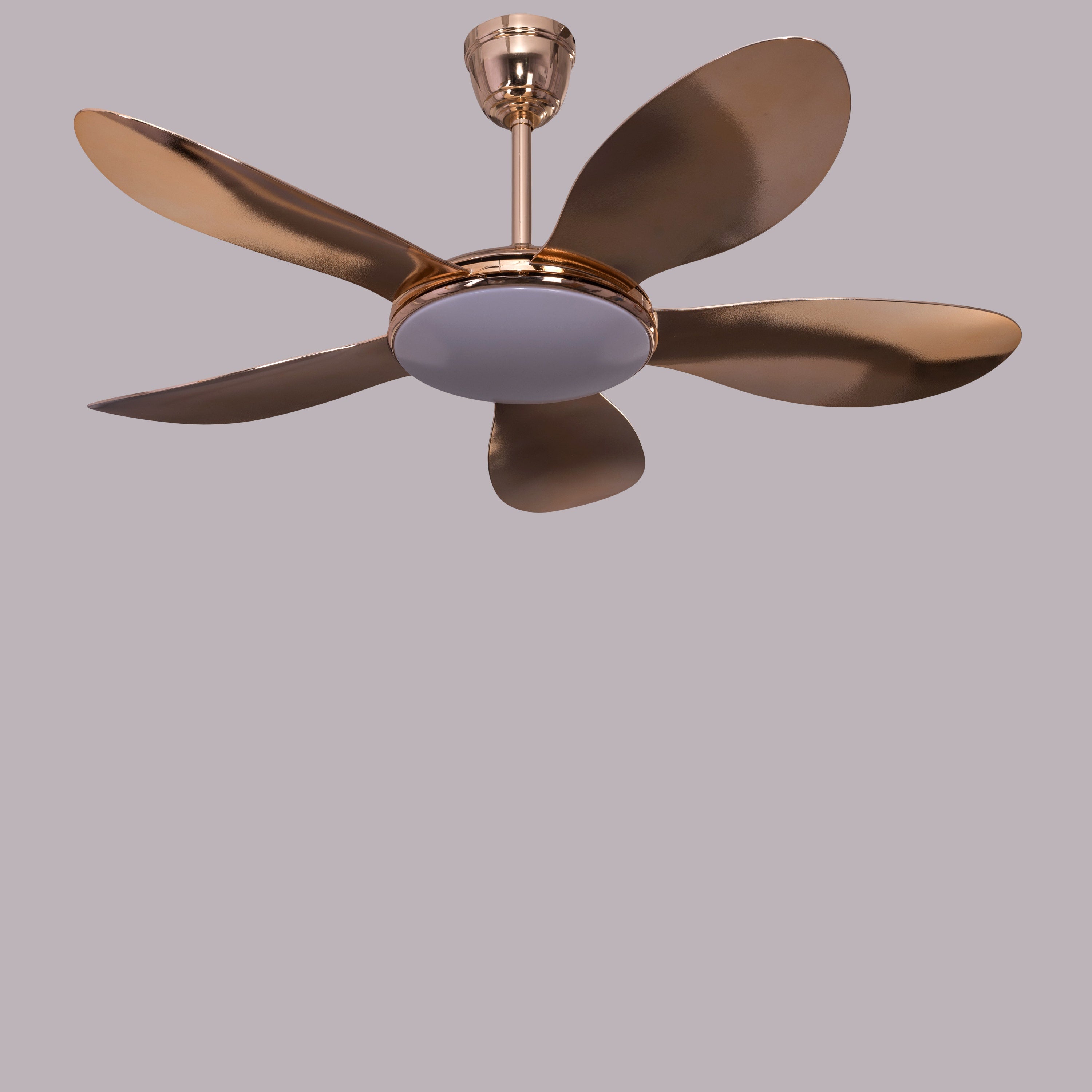 Thing For Bling (127 cm Span, Gold Plated Metal Body, Gold Plated ABS Blades) Dimmable LED With Remote Control Ceiling Fan