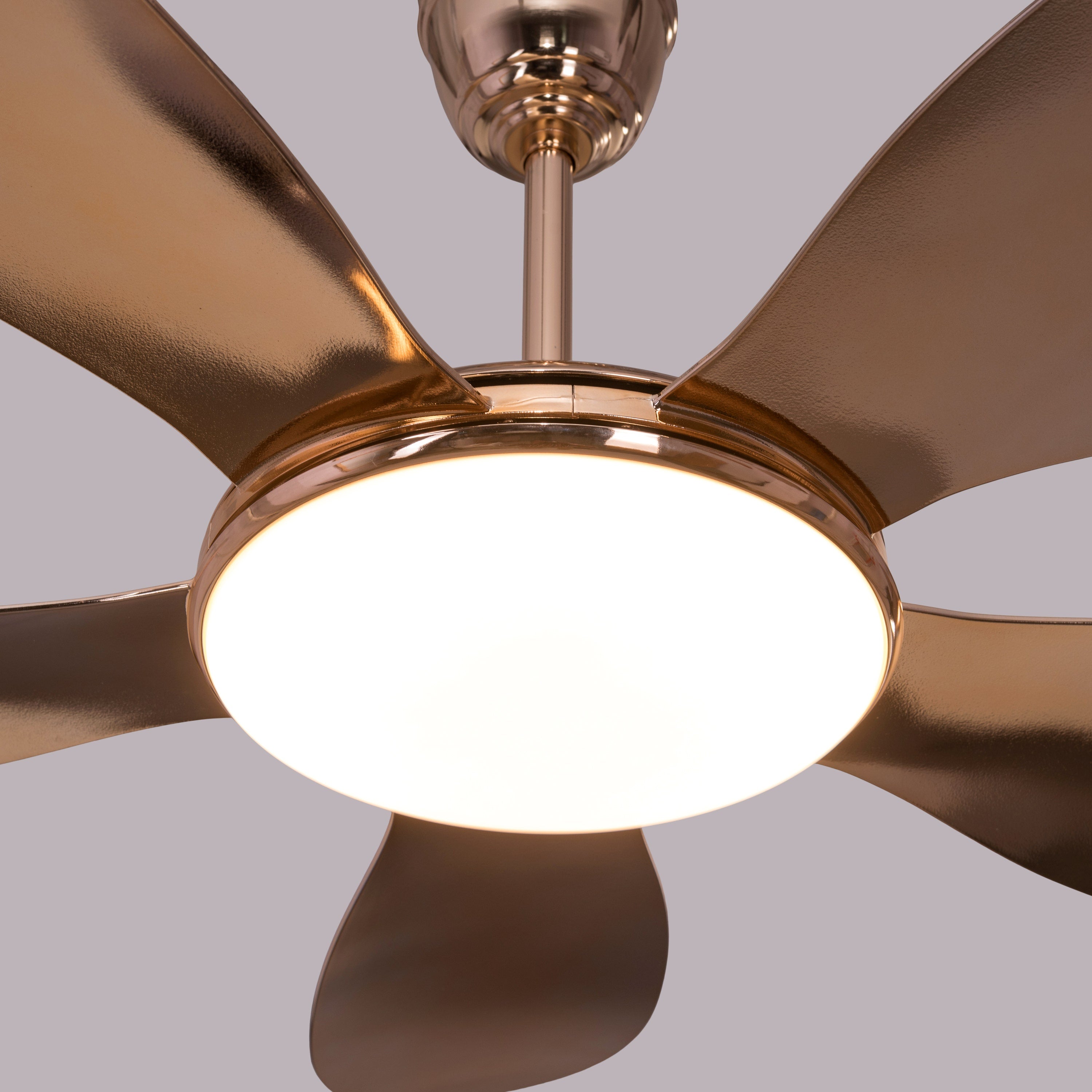 Thing For Bling (127 cm Span, Gold Plated Metal Body, Gold Plated ABS Blades) Dimmable LED With Remote Control Ceiling Fan