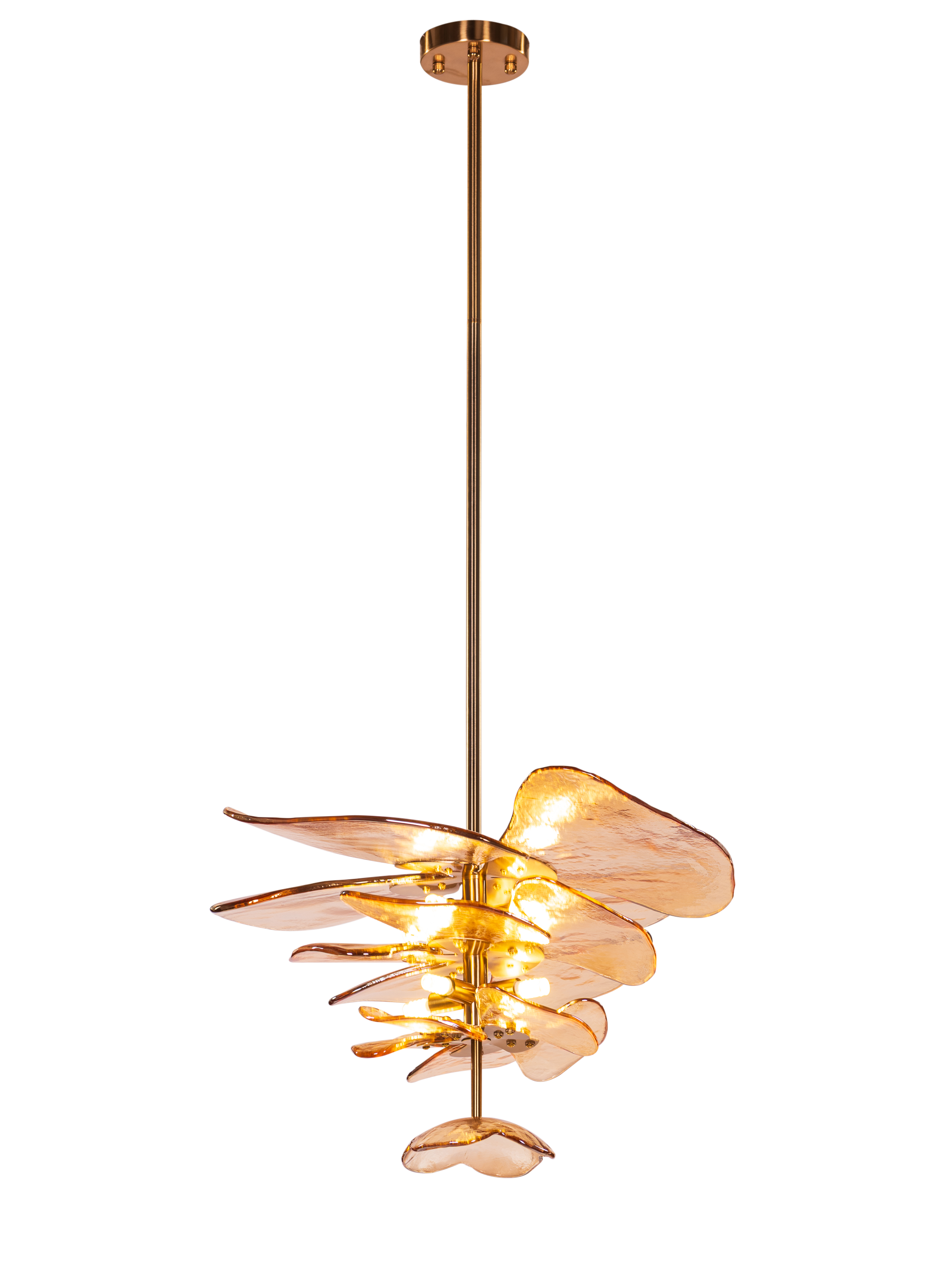 Luminous Lotus (Gold, Amber) Tinted Glass Pendant Light