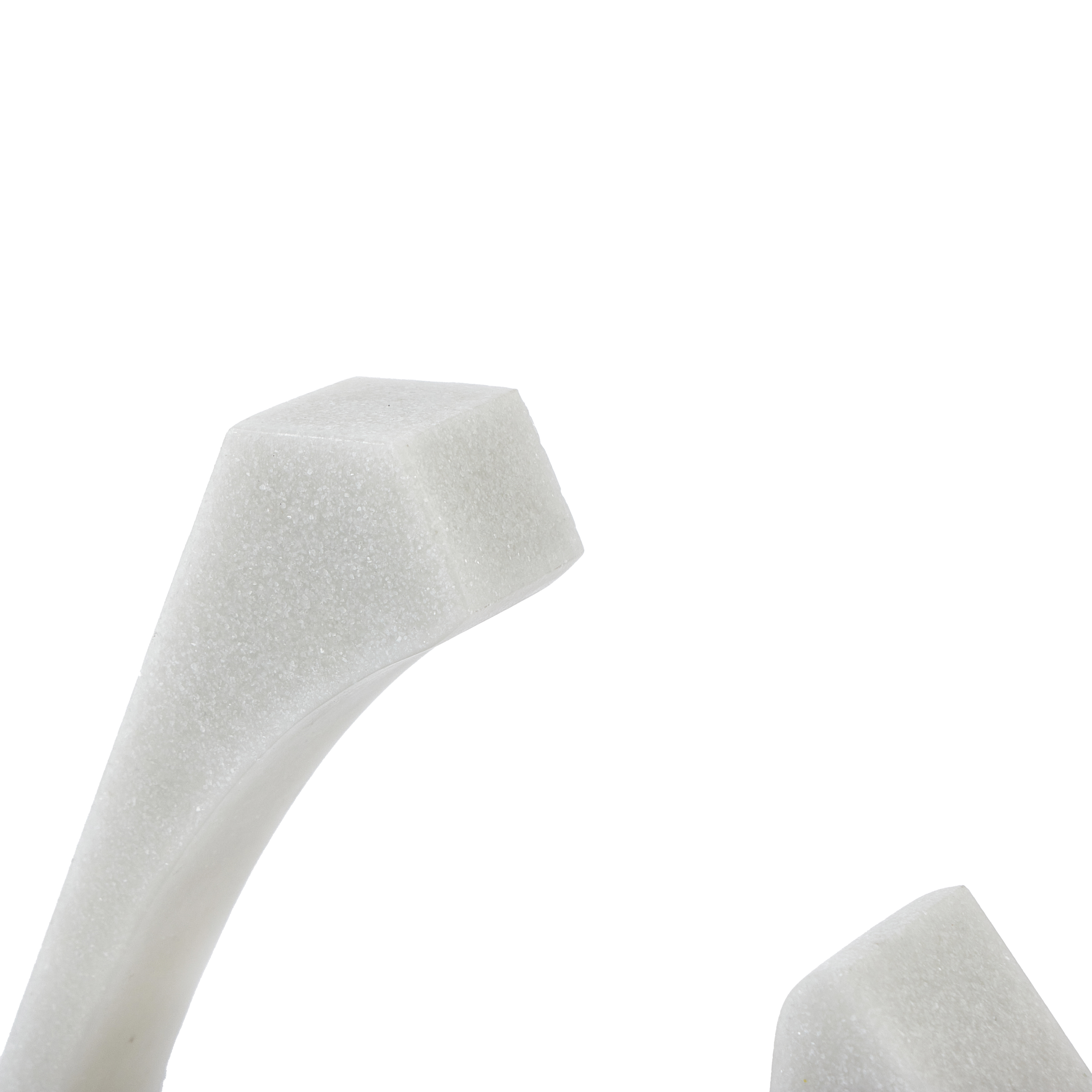 Coral Bloom Home Decor