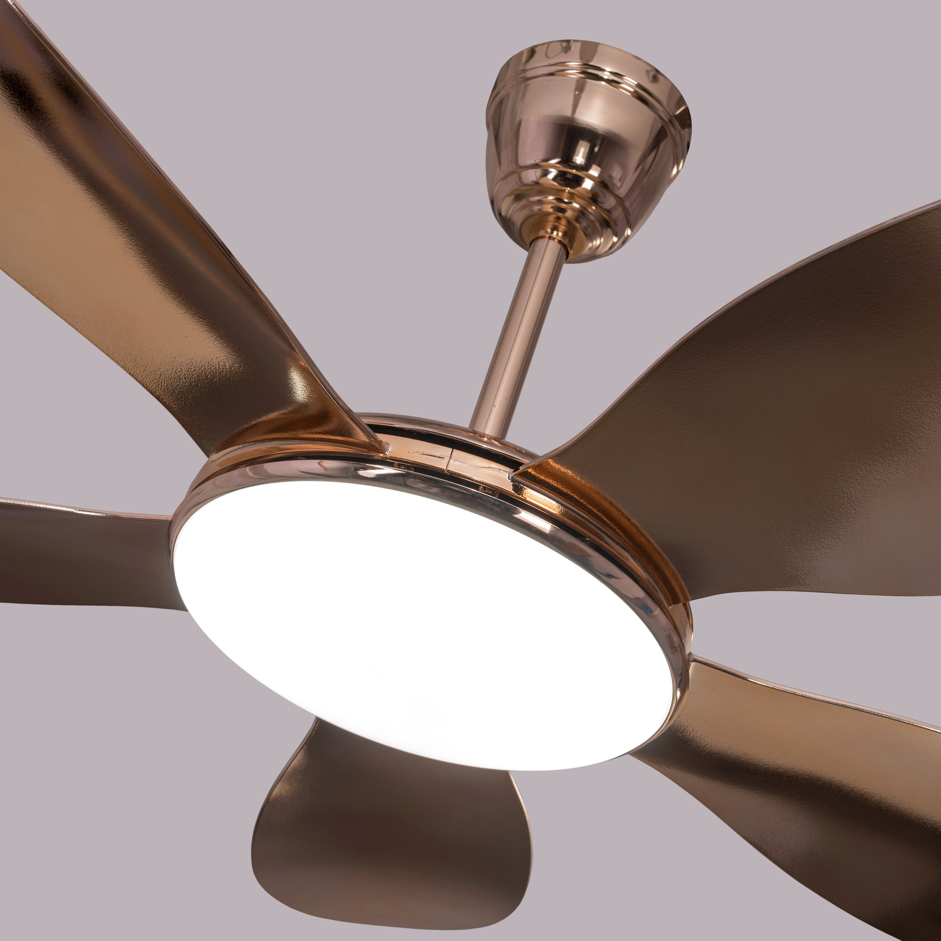 Thing For Bling (127 cm Span, Gold Plated Metal Body, Gold Plated ABS Blades) Dimmable LED With Remote Control Ceiling Fan