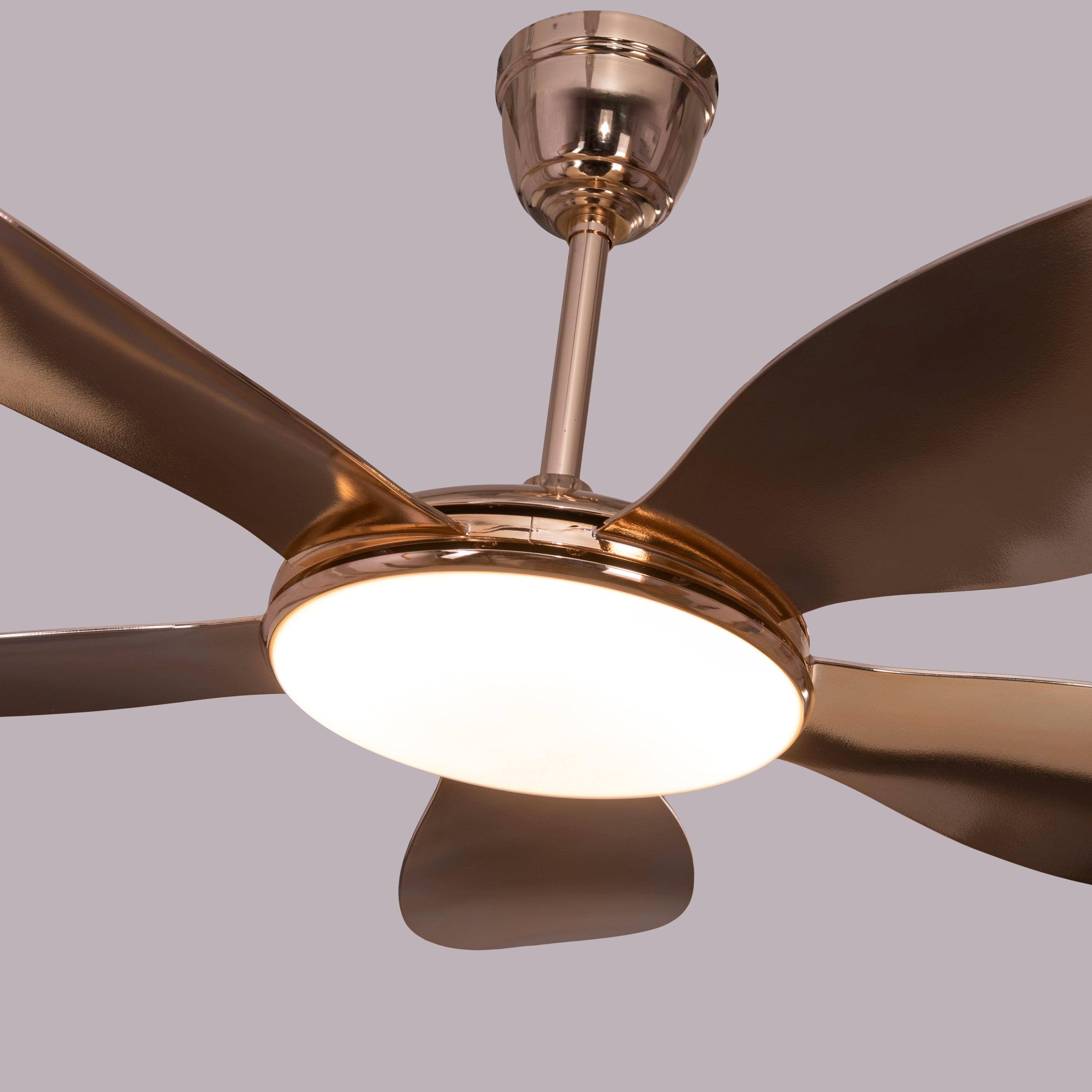 Thing For Bling (127 cm Span, Gold Plated Metal Body, Gold Plated ABS Blades) Dimmable LED With Remote Control Ceiling Fan