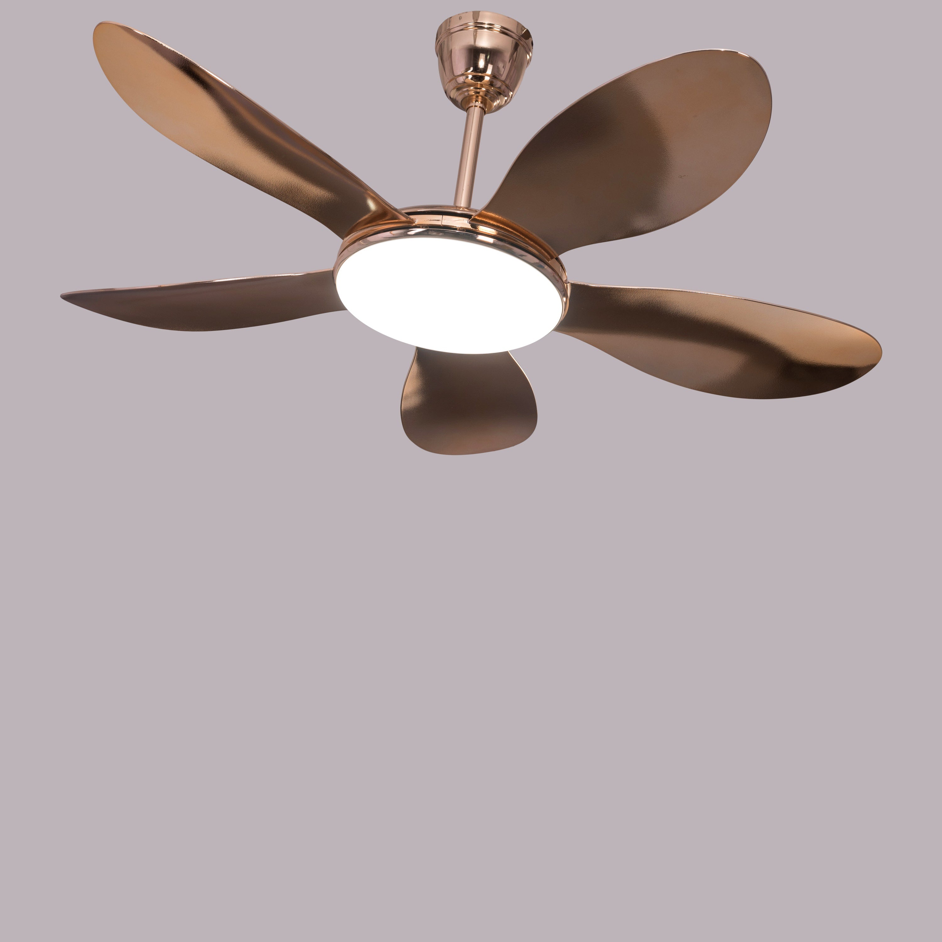 Thing For Bling (127 cm Span, Gold Plated Metal Body, Gold Plated ABS Blades) Dimmable LED With Remote Control Ceiling Fan