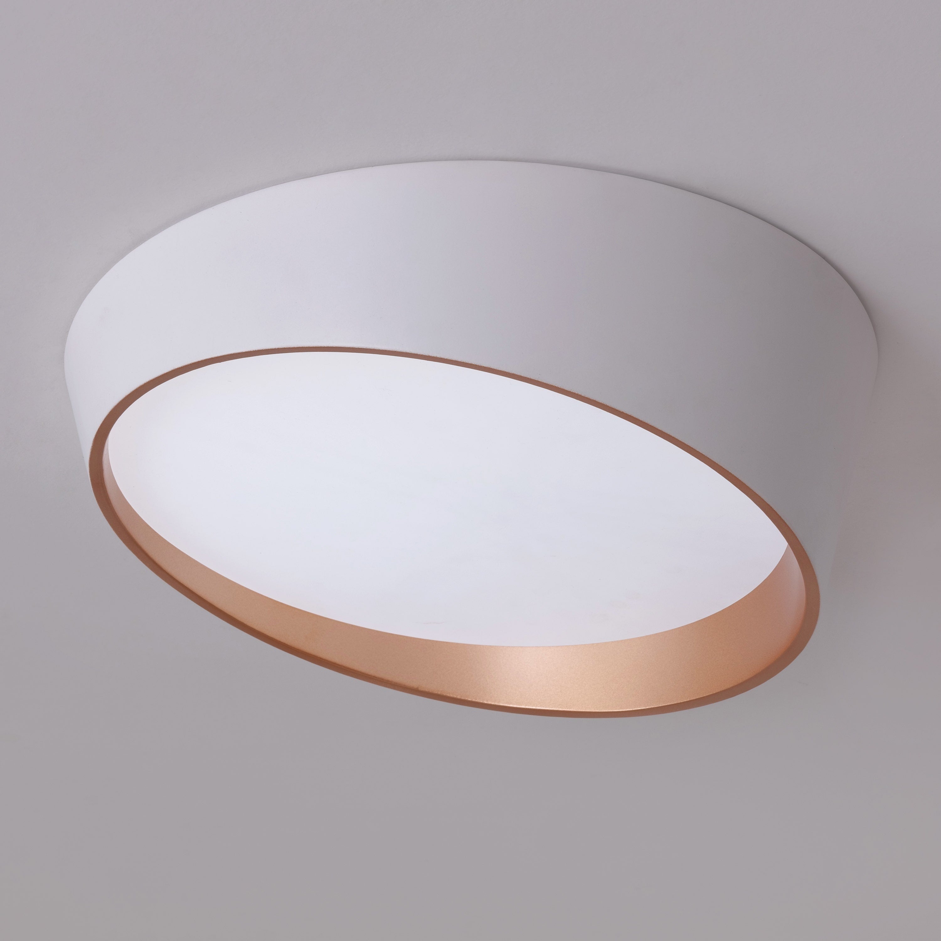 Hidden Ace (White,Large) Ceiling Light