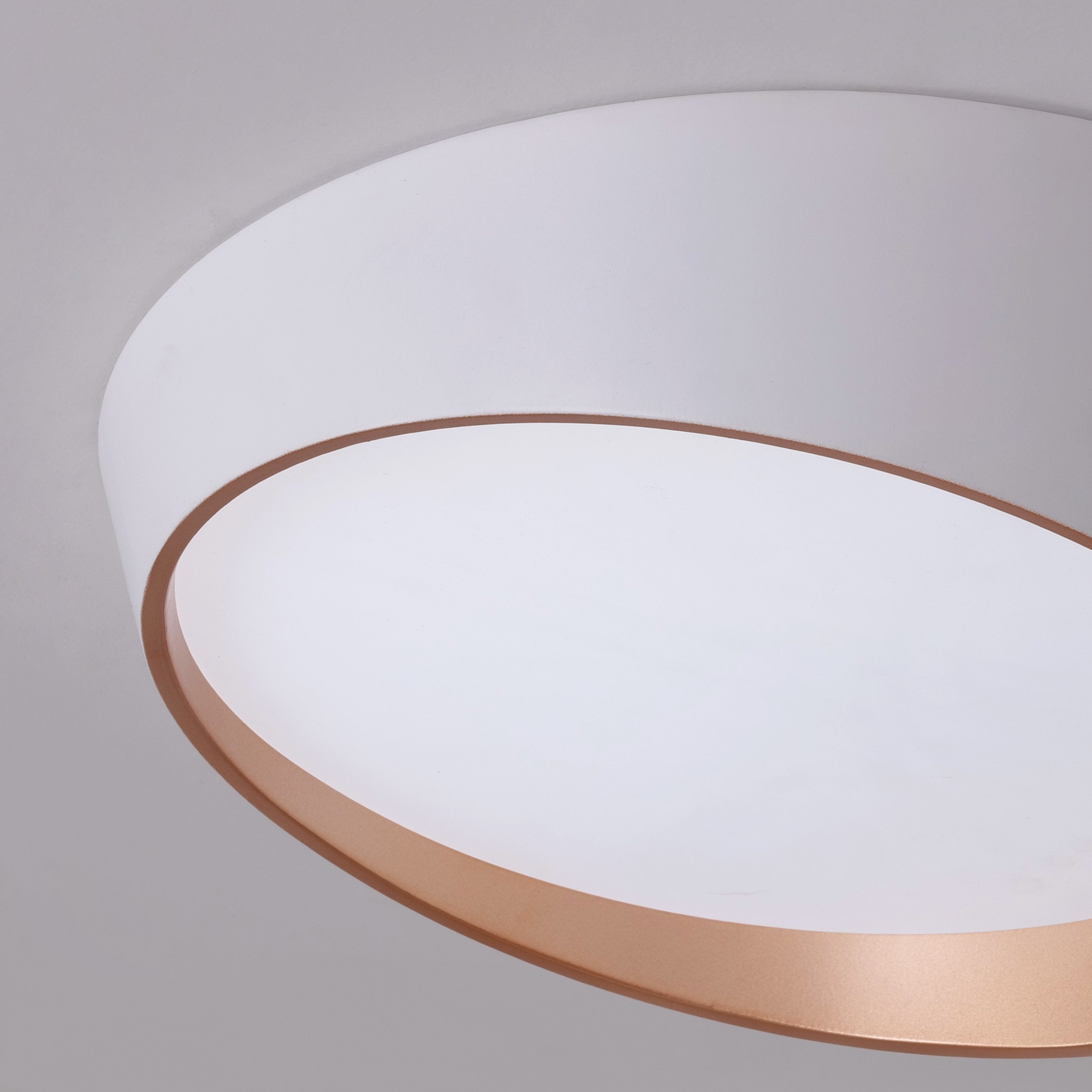 Hidden Ace (White) Ceiling Light