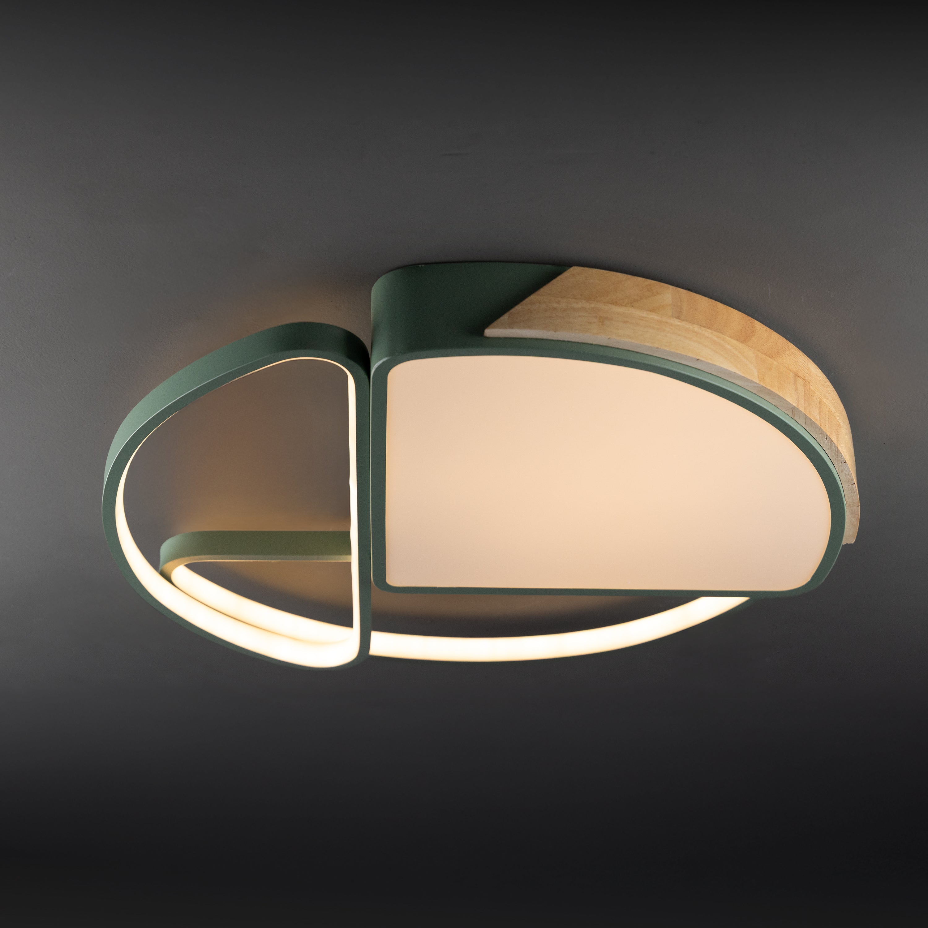 Willow Bend Dimmable Ceiling Light