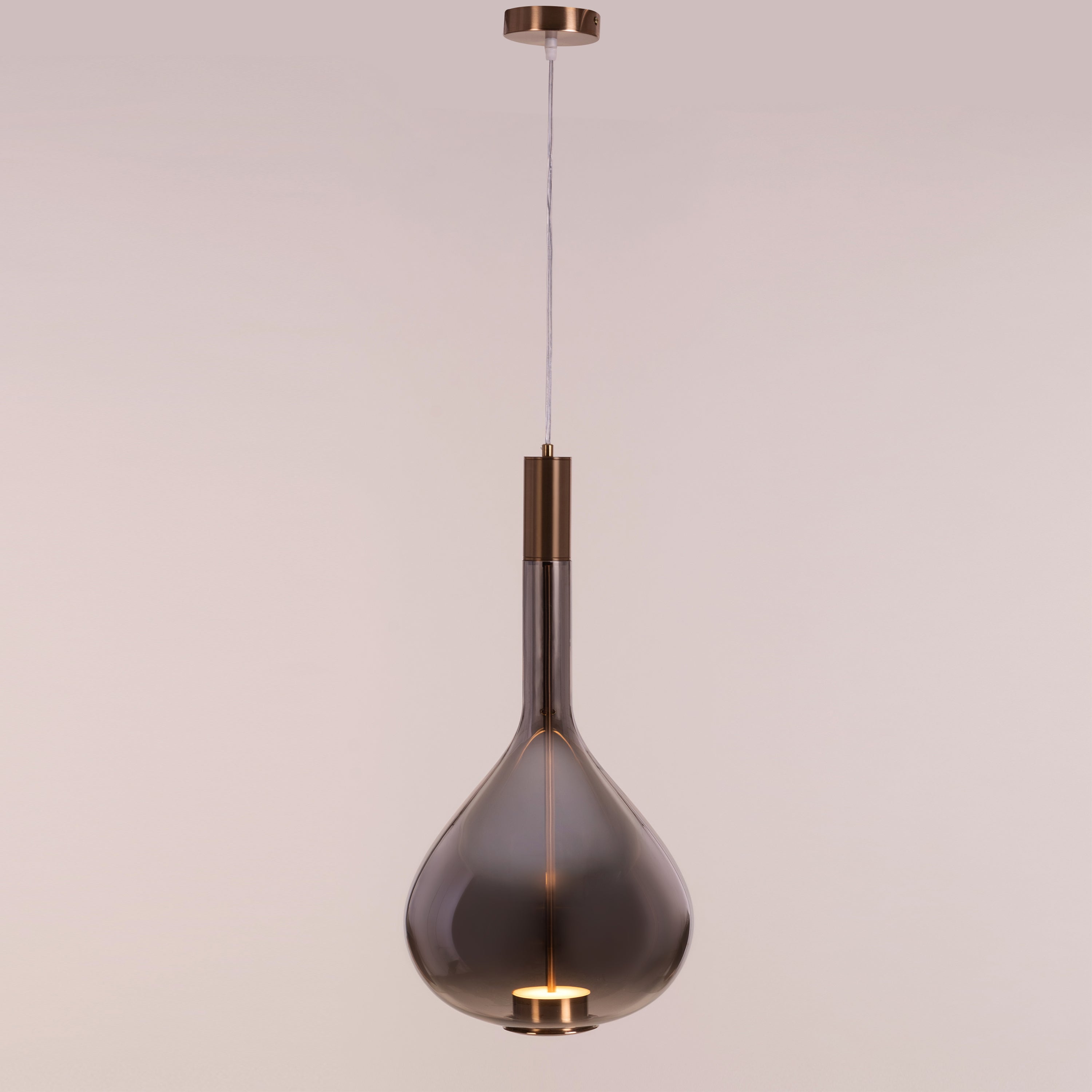 You Own It (Smokey Grey, Built-In LED) Glass Pendant Light