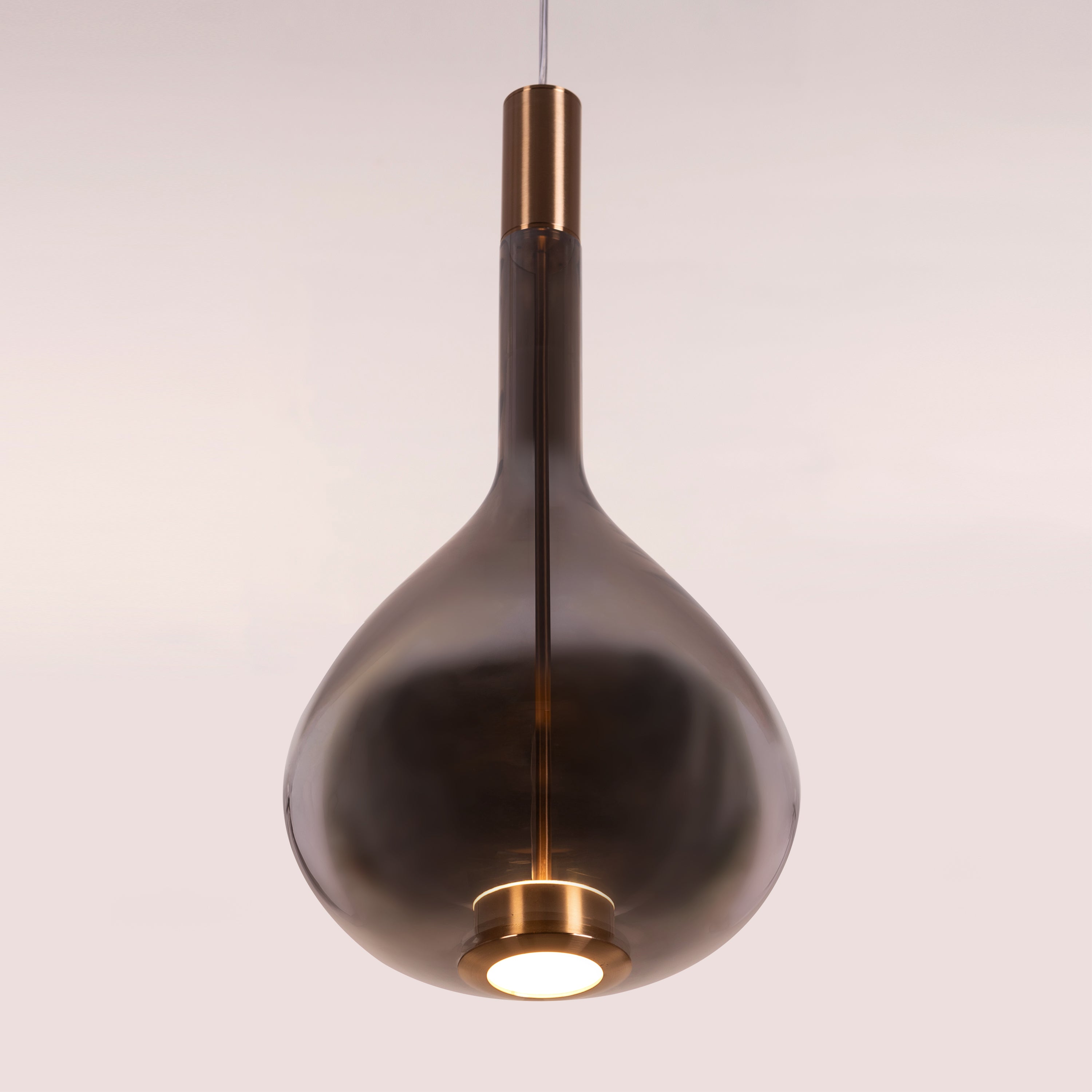 You Own It (Smokey Grey, Built-In LED) Glass Pendant Light