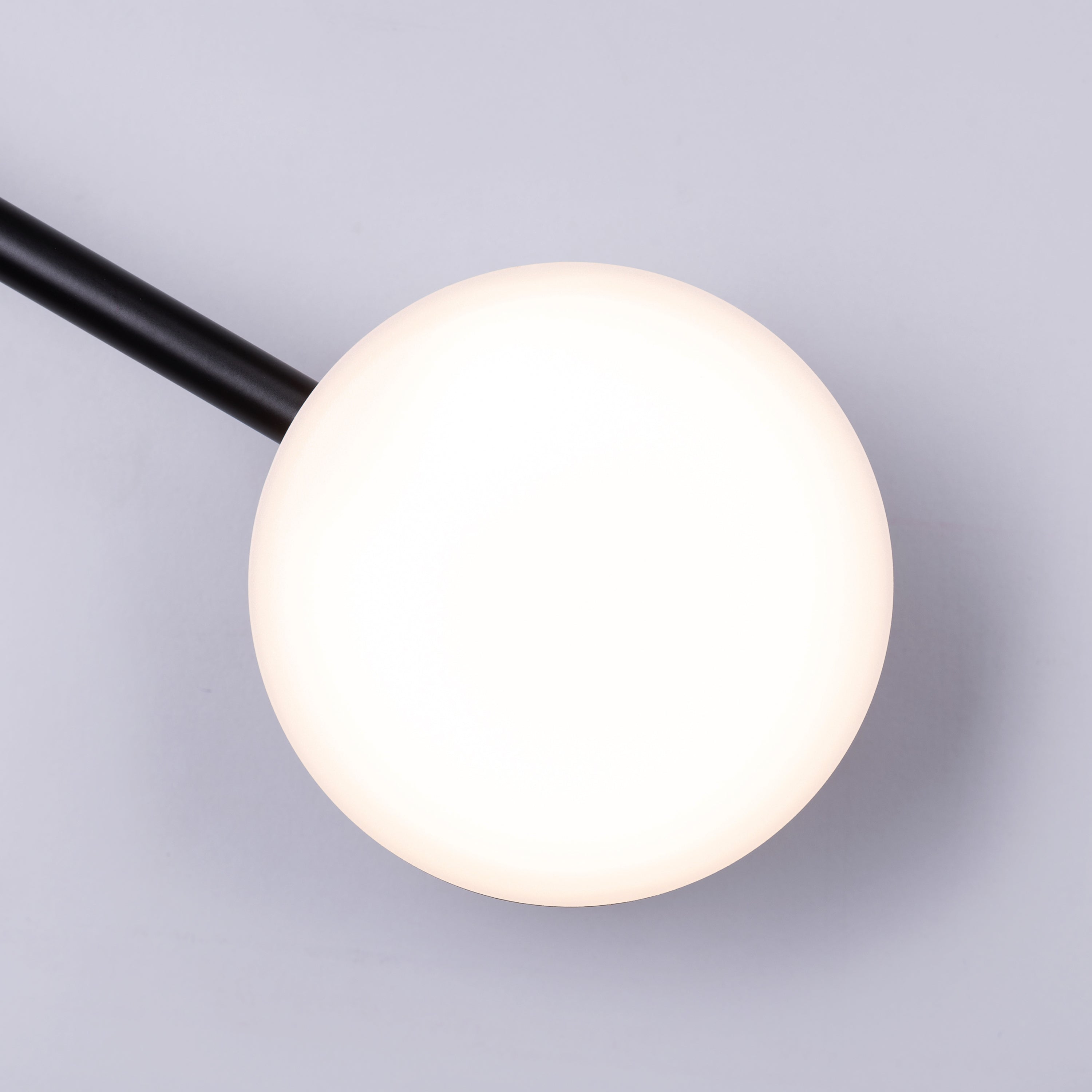 On A Lark (Black, Built-In LED) Wall Light