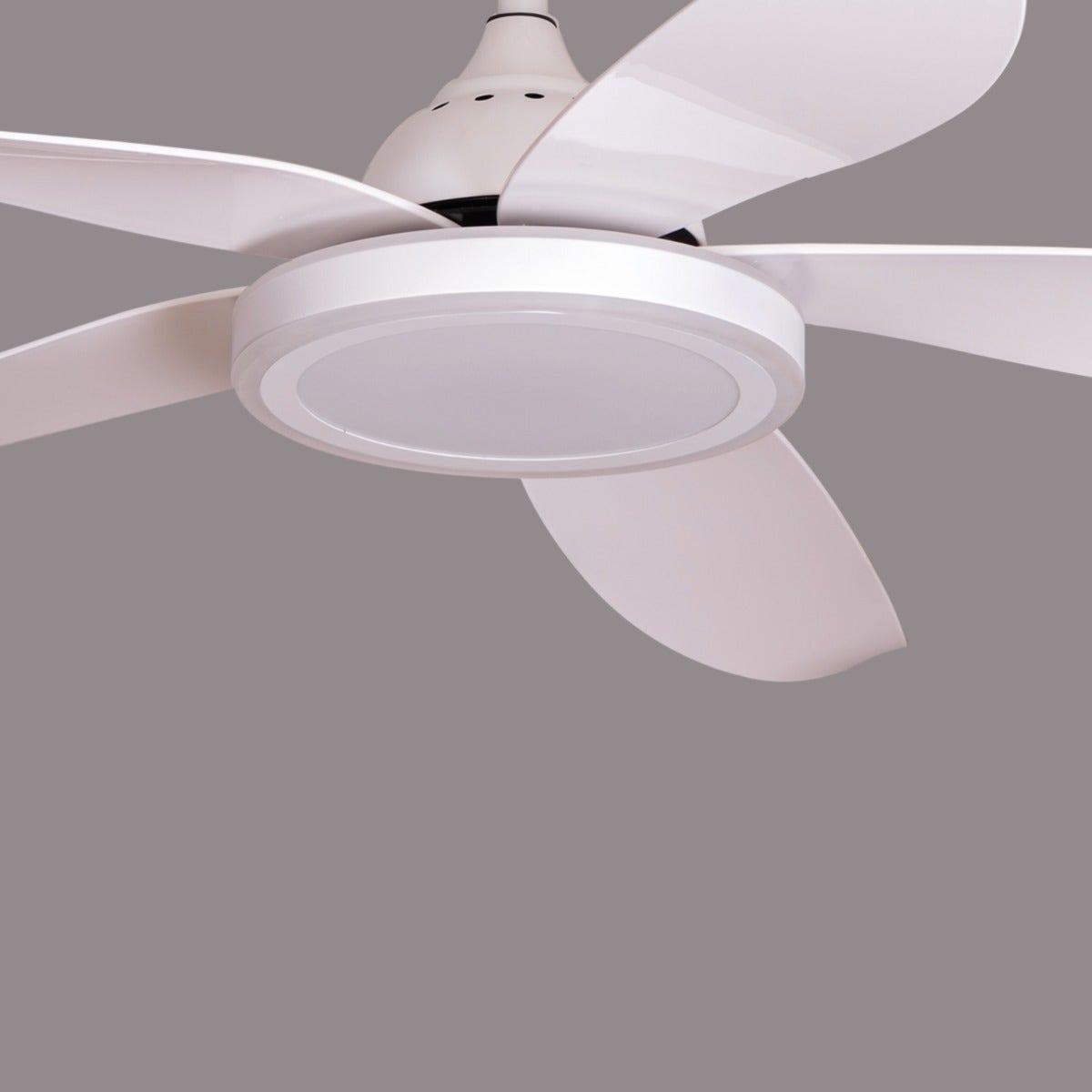 Oxford Street (140 cm Span, White Finish Metal Body, Glossy White ABS Blades) 3 Color Dimmable LED With Remote Control Ceiling Fan