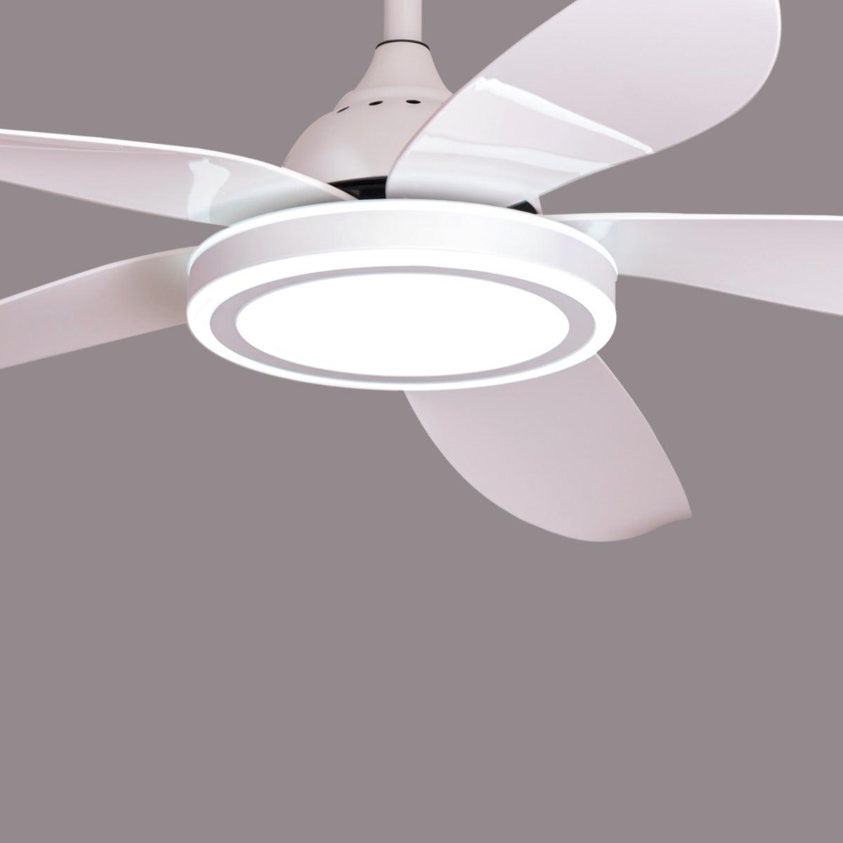 Oxford Street (140 cm Span, White Finish Metal Body, Glossy White ABS Blades) 3 Color Dimmable LED With Remote Control Ceiling Fan