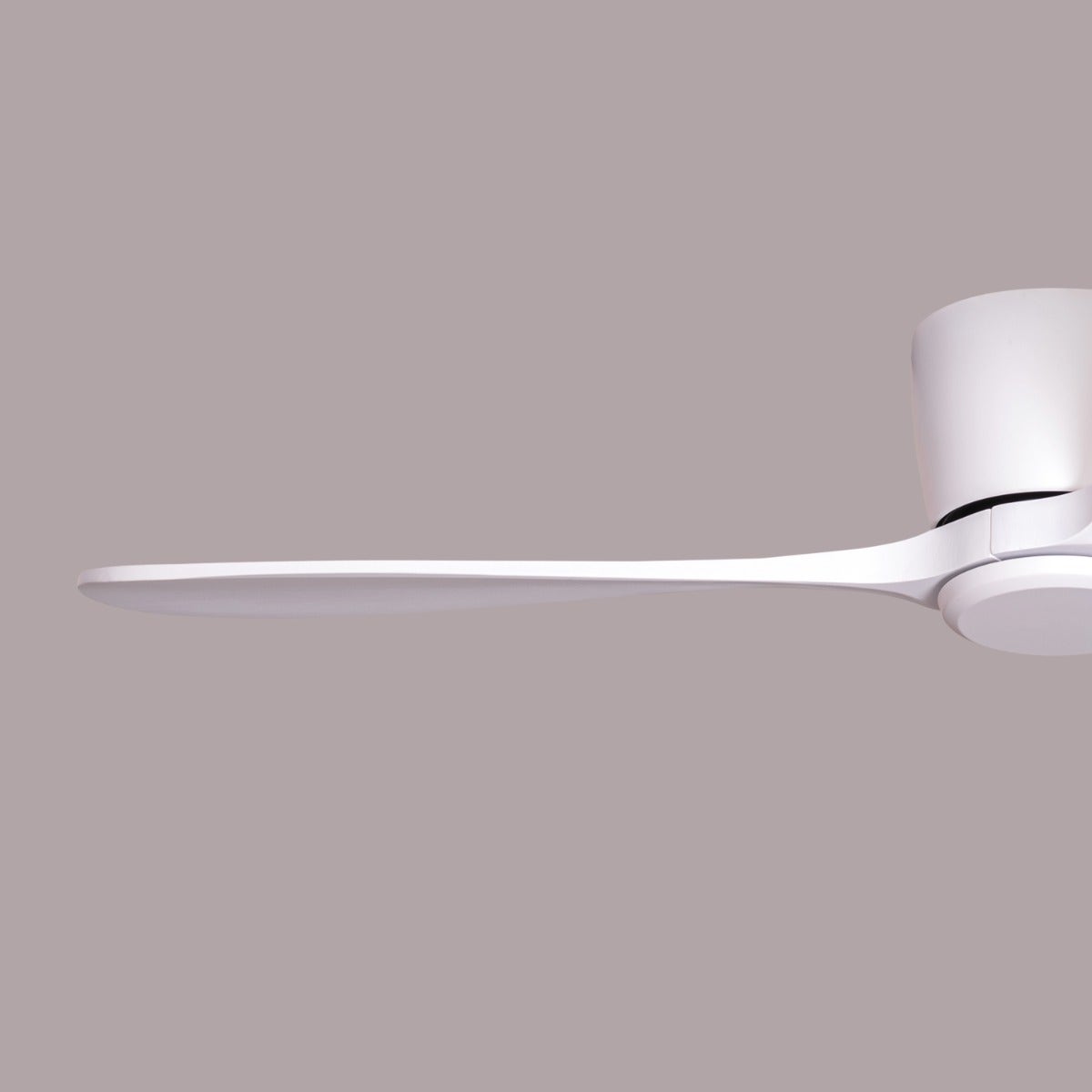 Bay Breeze (135 cm Span, White Finish Metal Body, White Finish Wooden Blades) Ceiling Fan