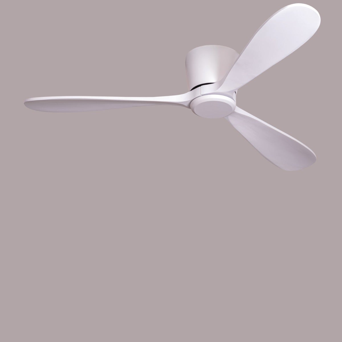 Bay Breeze (135 cm Span, White Finish Metal Body, White Finish Wooden Blades) Ceiling Fan