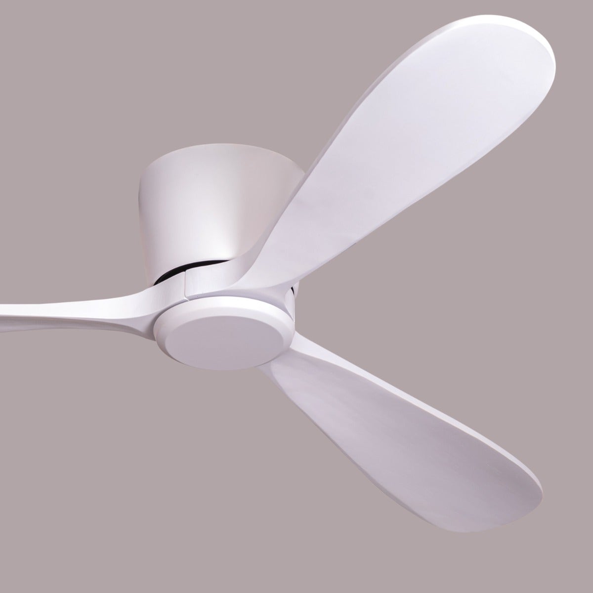 Bay Breeze (135 cm Span, White Finish Metal Body, White Finish Wooden Blades) Ceiling Fan