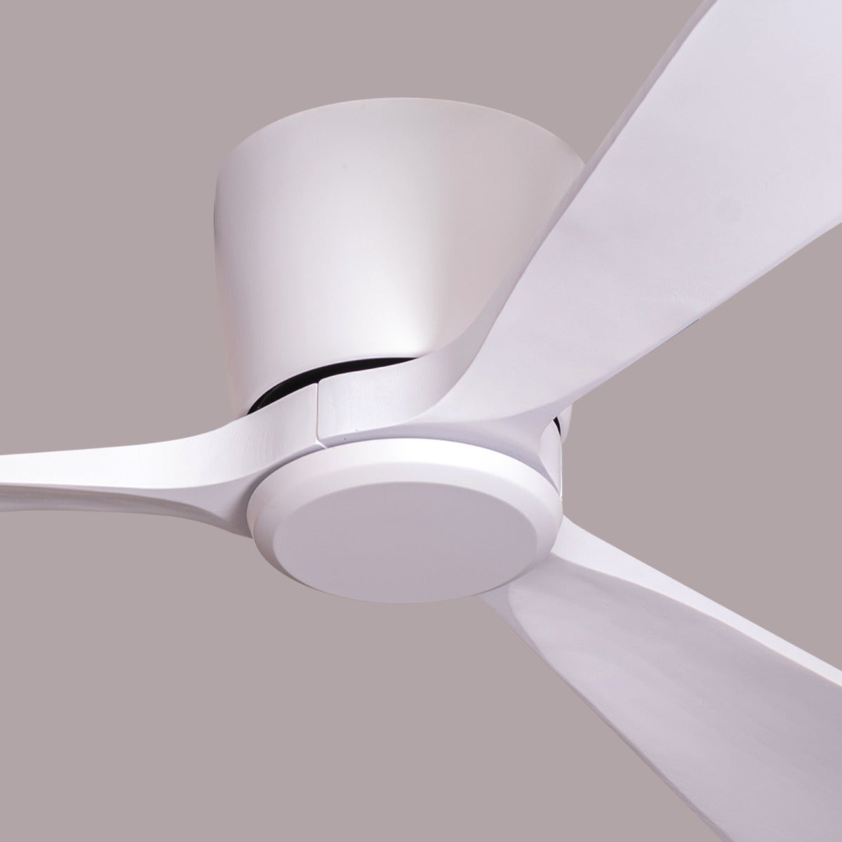 Bay Breeze (135 cm Span, White Finish Metal Body, White Finish Wooden Blades) Ceiling Fan