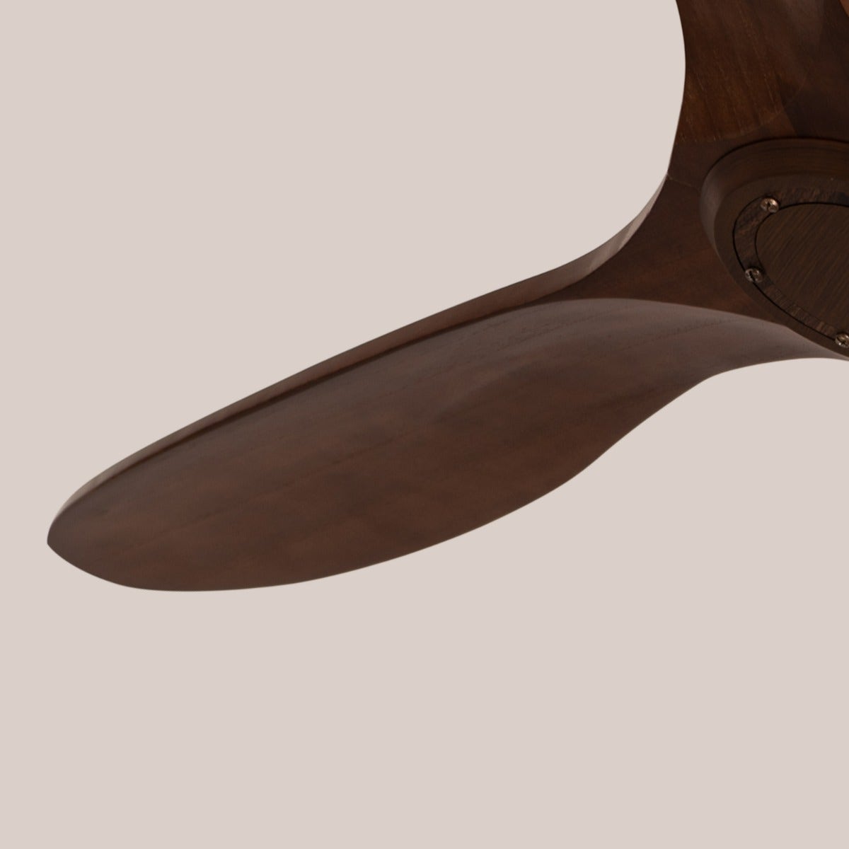 Devil's Advocate (135 cm Span, Black Finish Metal Body, Teak Wood Finish Wooden Blades) Ceiling Fan