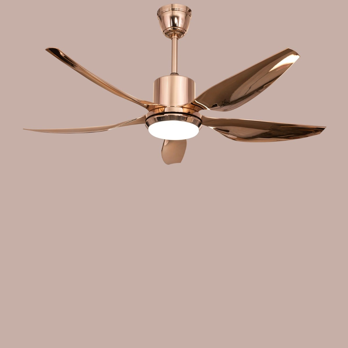 Revisited (137 cm Span, Gold Finish Metal Body, Gold Finish ABS Blades) Dimmable LED With Remote Control Ceiling Fan