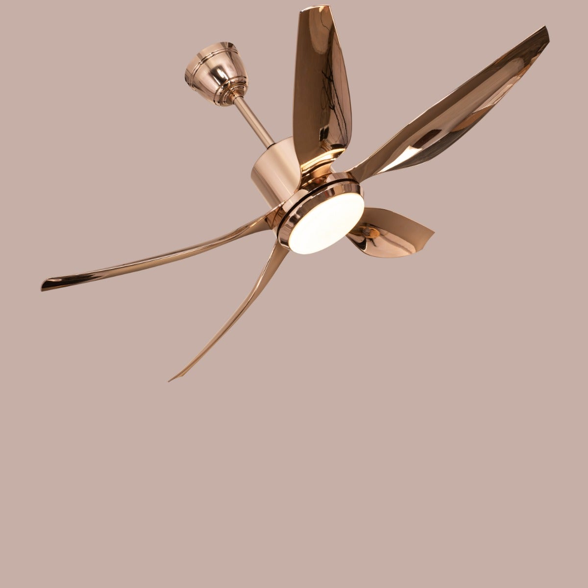 Revisited (137 cm Span, Gold Finish Metal Body, Gold Finish ABS Blades) Dimmable LED With Remote Control Ceiling Fan