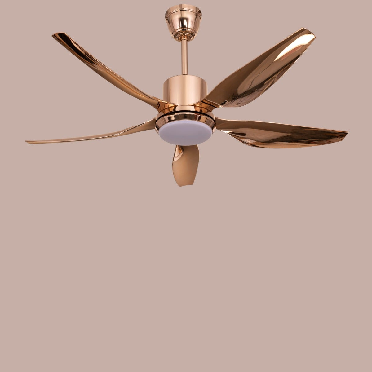 Revisited (137 cm Span, Gold Finish Metal Body, Gold Finish ABS Blades) Dimmable LED With Remote Control Ceiling Fan