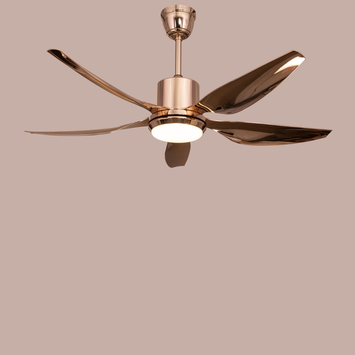 Revisited (137 cm Span, Gold Finish Metal Body, Gold Finish ABS Blades) Dimmable LED With Remote Control Ceiling Fan