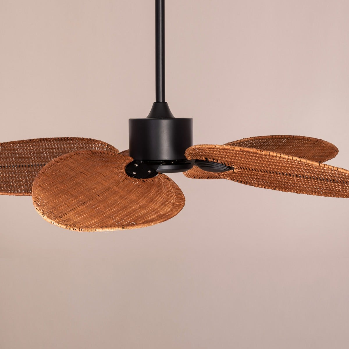 Florida Keys (132 cm Span, Black Finish Metal Body, Woven Cane On A Metal Frame) Ceiling Fan