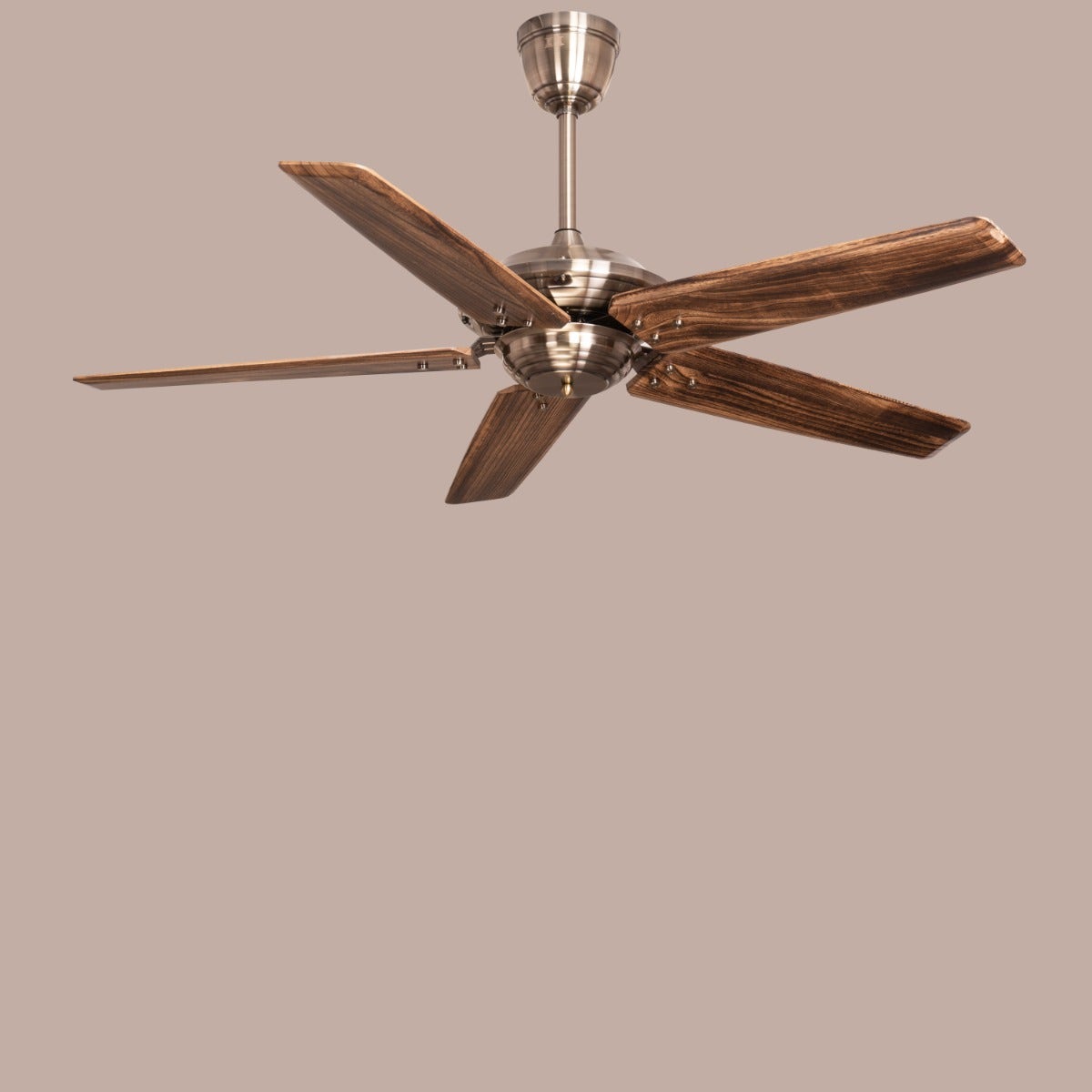 Alameda (137 cm Span, Chrome Finish Metal Body, Walnut Finish Solid Wood Blades) Ceiling Fan