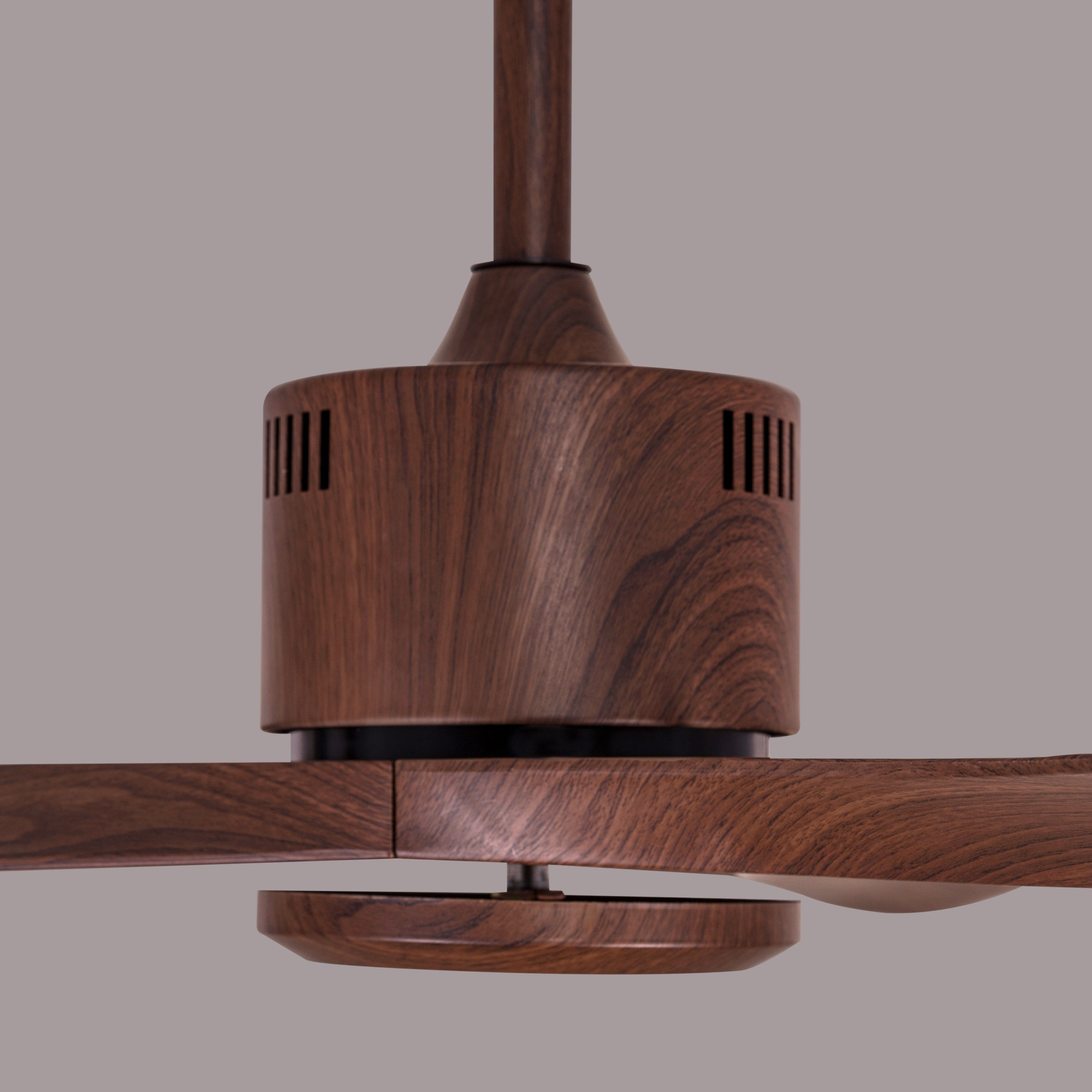 Marissa (132 cm Span, Walnut Finish Metal Body, Walnut Finish ABS Blades) Ceiling Fan