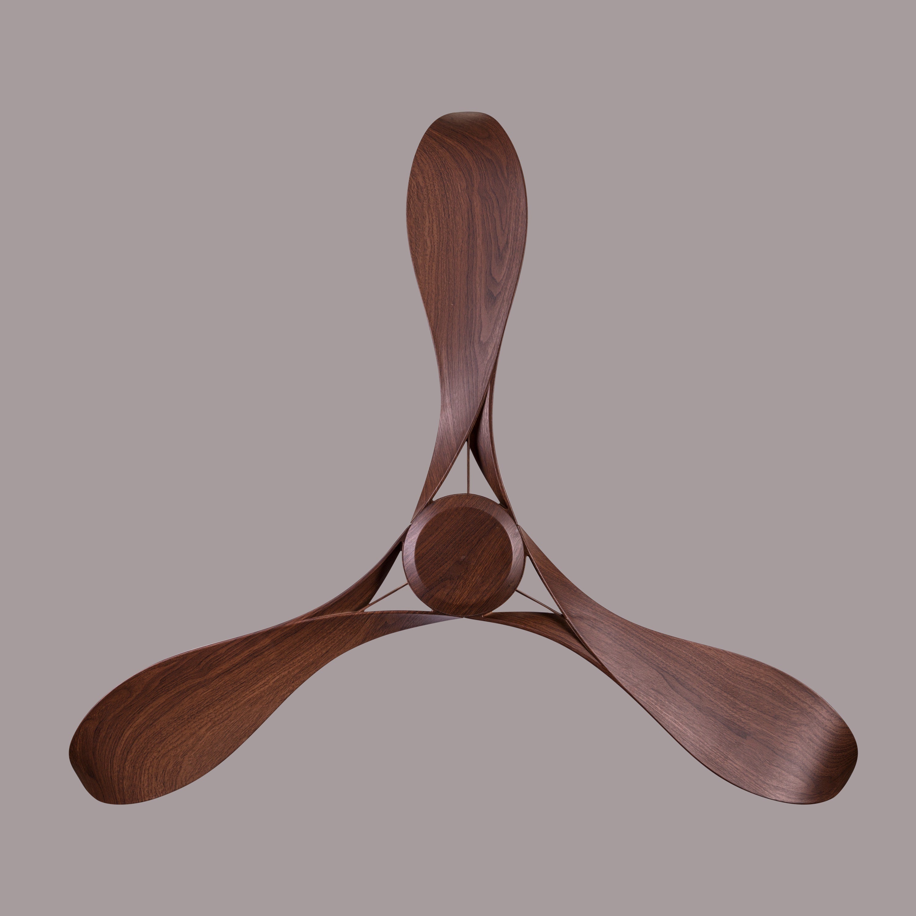 Marissa (132 cm Span, Walnut Finish Metal Body, Walnut Finish ABS Blades) Ceiling Fan