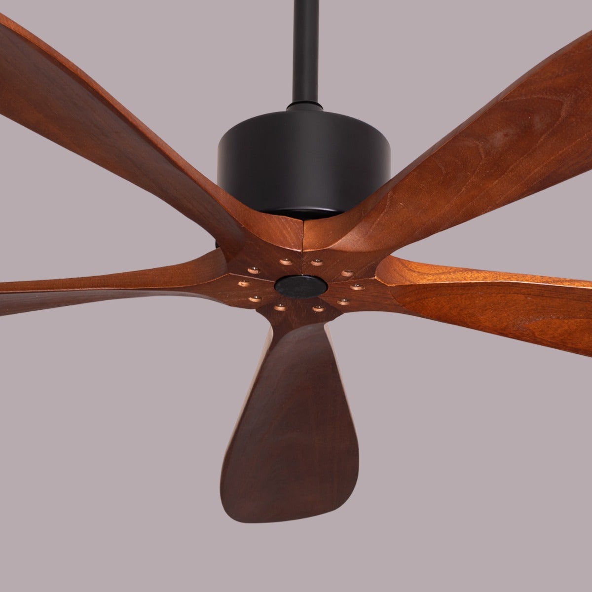 Bellagio (132 cm Span, Black Finish Metal Body, Teak Wood Finish Solid Wooden Blades) Ceiling Fan
