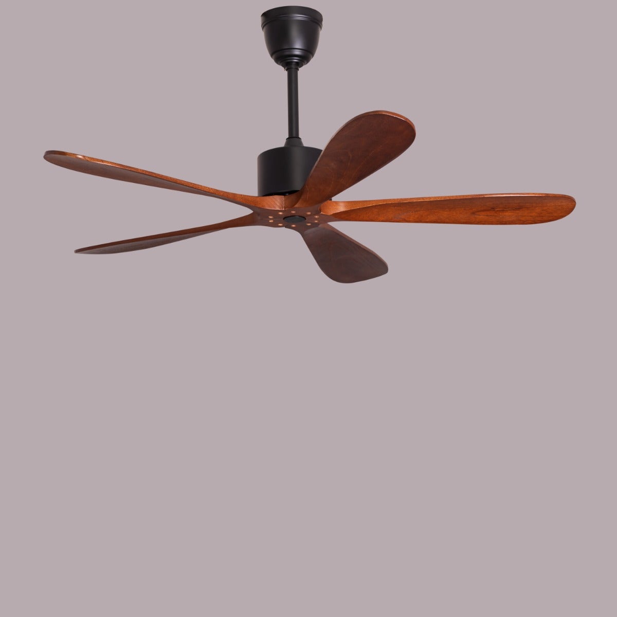 Bellagio (132 cm Span, Black Finish Metal Body, Teak Wood Finish Solid Wooden Blades) Ceiling Fan