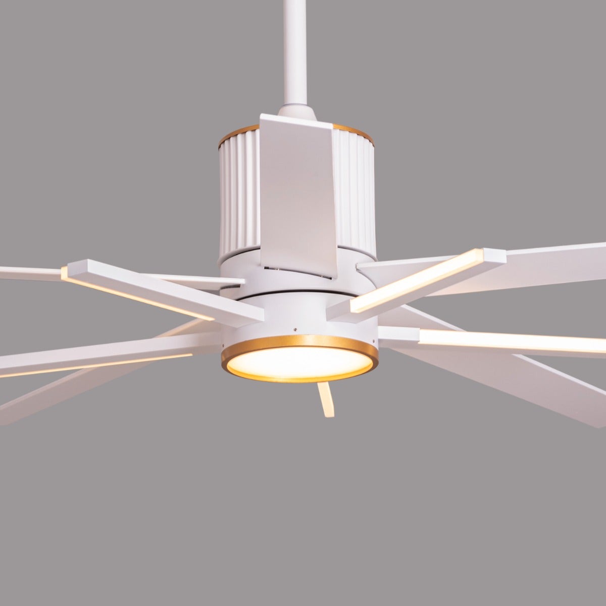 Serengeti (142 cm Span, White & Gold Finish Metal Body, White Finish Solid Wood Blades) Dimmable LED With Remote Control Ceiling Fan