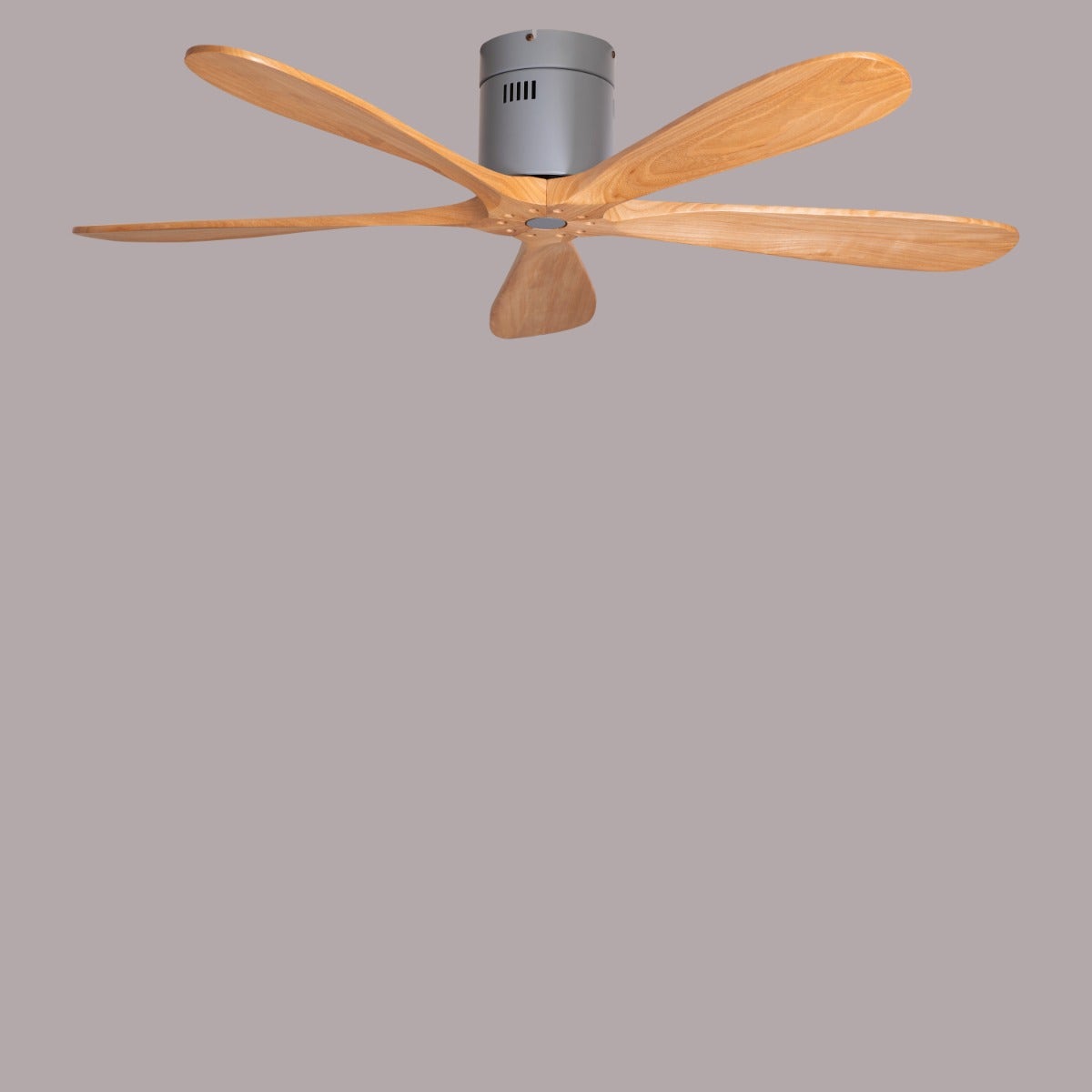 Carmel (132 cm Span, Grey Finish Metal Body, Maple Wood Finish Wooden Blades) Ceiling Fan