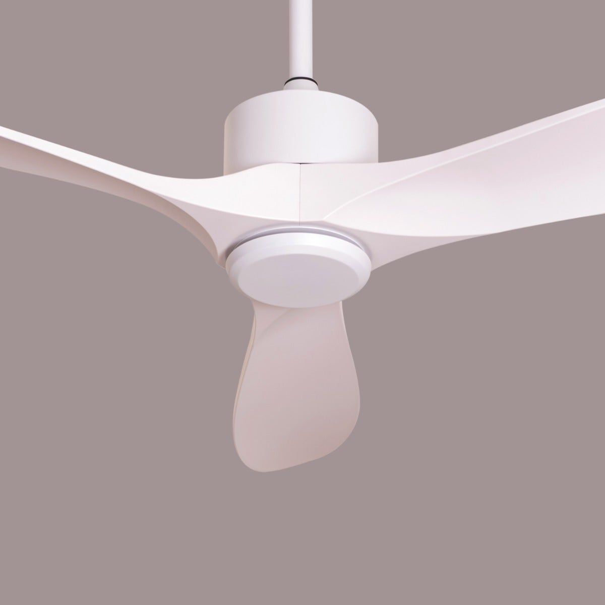 Tiburon (132 cm Span, White Finish Metal Body, White Finish ABS Blades) Ceiling Fan