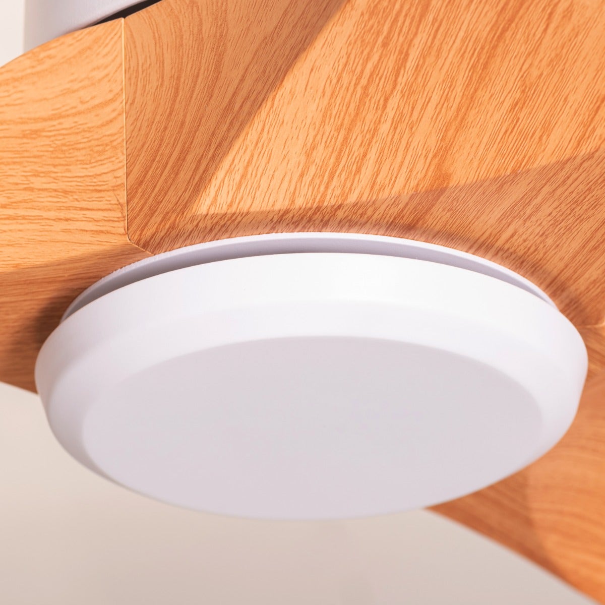 Tiburon (132 cm Span, White Finish Metal Body, Maple Wood Finish ABS Blades) Ceiling Fan