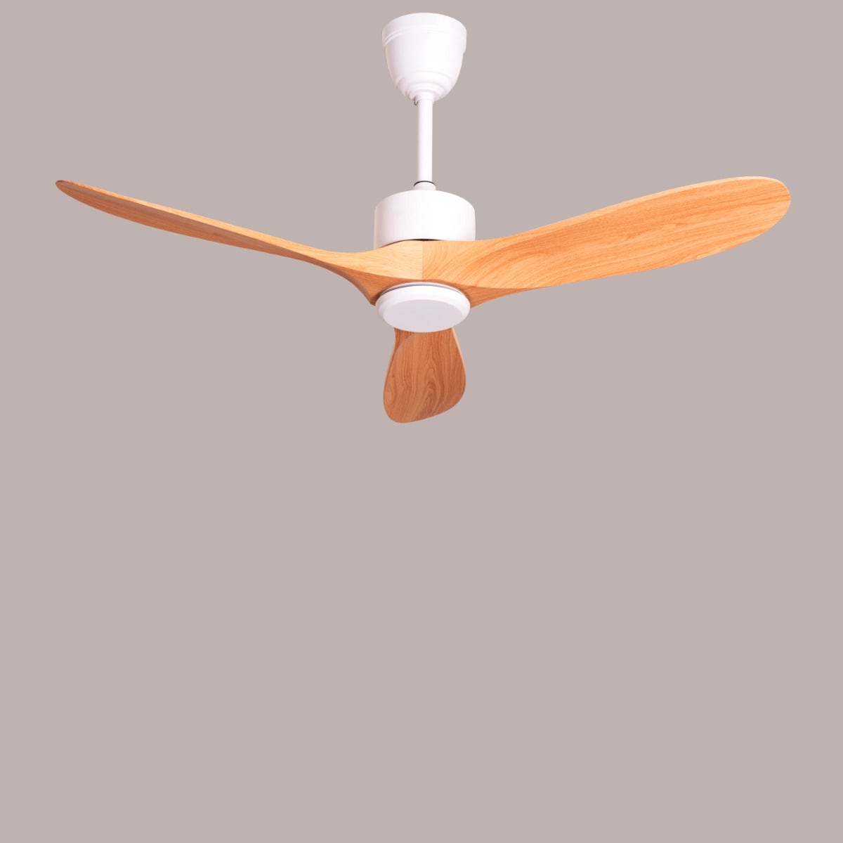 Tiburon (132 cm Span, White Finish Metal Body, Maple Wood Finish ABS Blades) Ceiling Fan