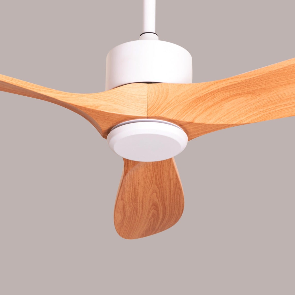 Tiburon (132 cm Span, White Finish Metal Body, Maple Wood Finish ABS Blades) Ceiling Fan
