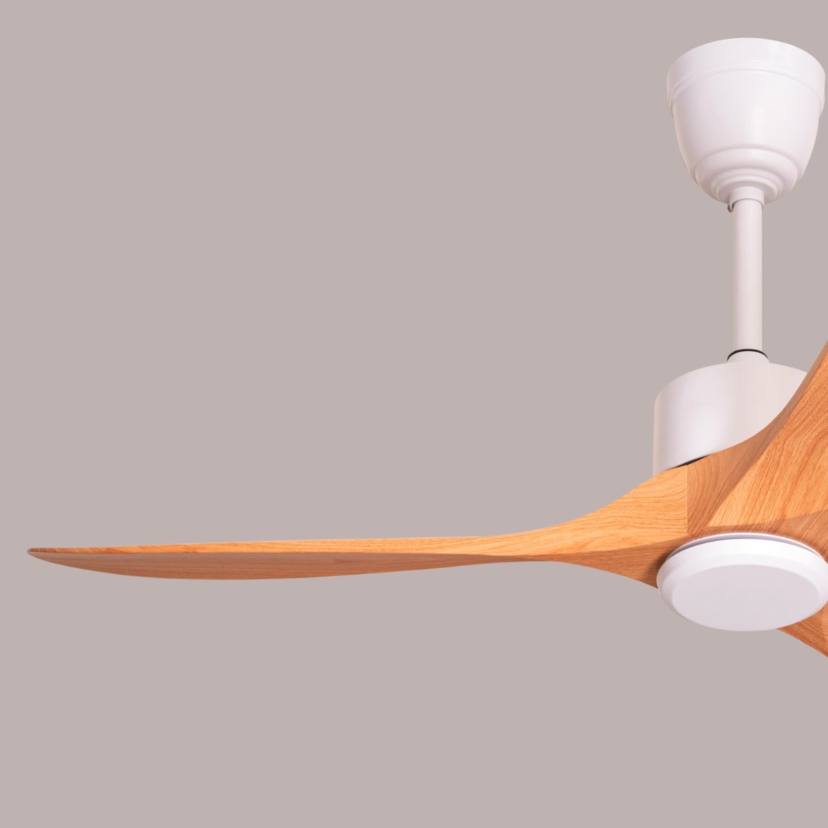 Tiburon (132 cm Span, White Finish Metal Body, Maple Wood Finish ABS Blades) Ceiling Fan