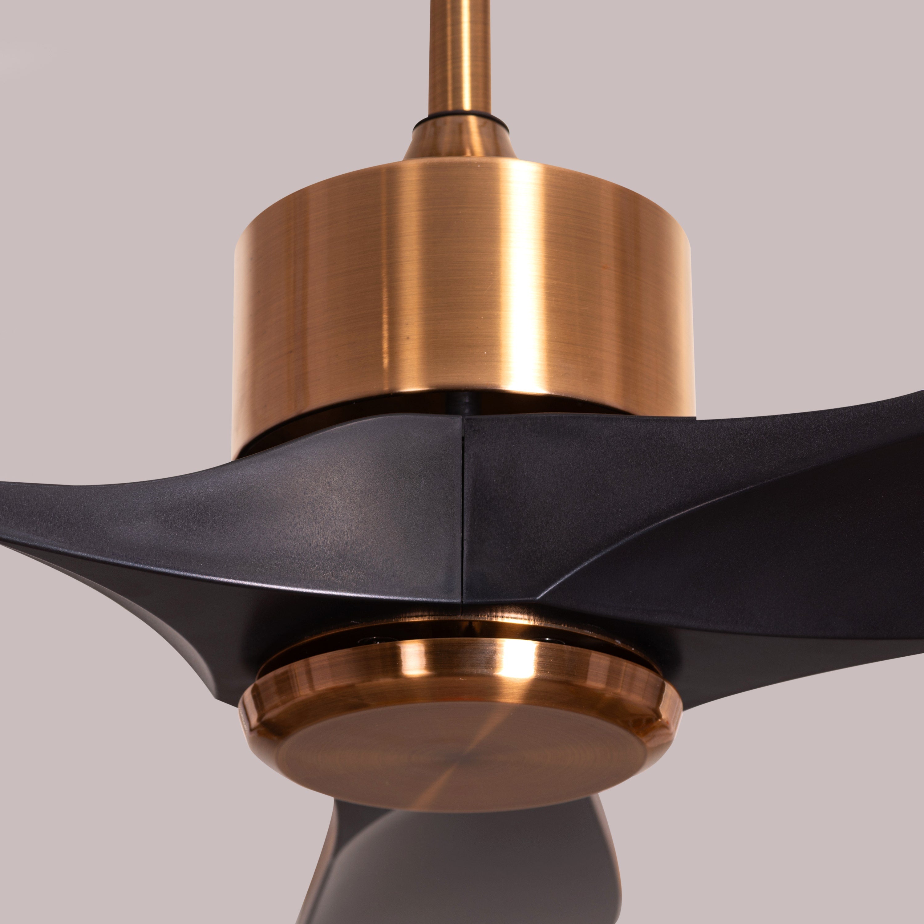 Tiburon (132 cm Span, Matte Gold Finish Metal Body, Black Finish ABS Blades) Ceiling Fan
