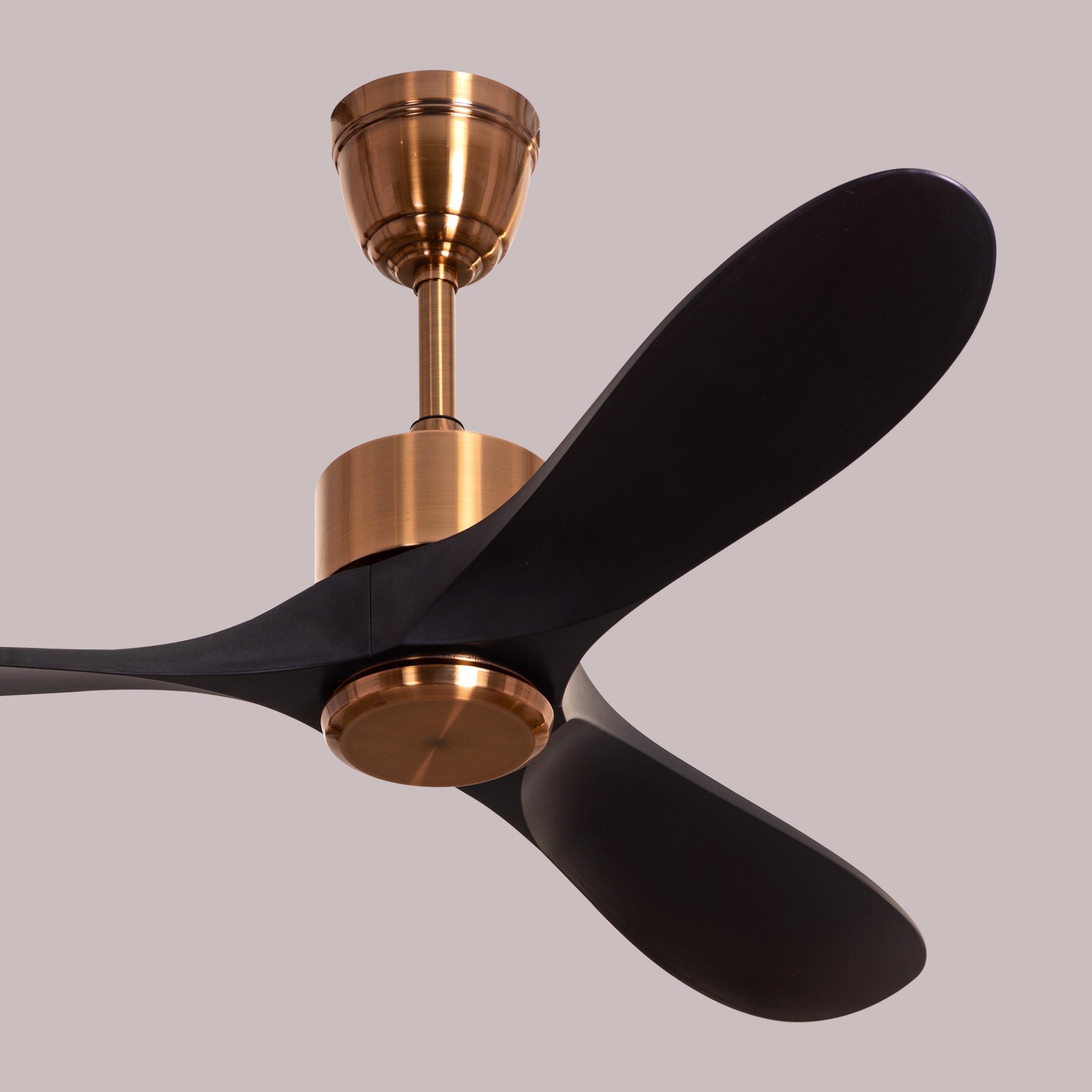 Tiburon (132 cm Span, Matte Gold Finish Metal Body, Black Finish ABS Blades) Ceiling Fan