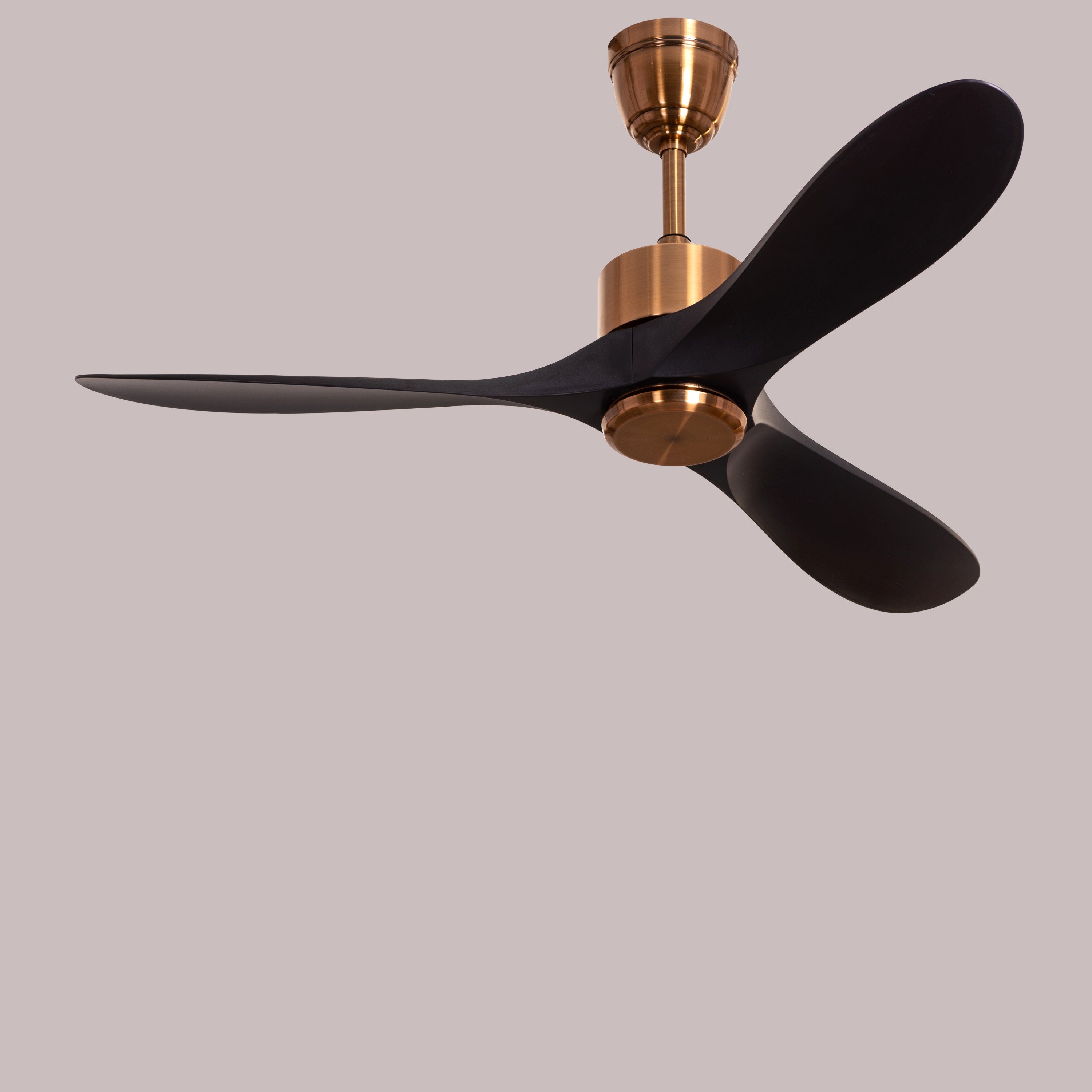 Tiburon (132 cm Span, Matte Gold Finish Metal Body, Black Finish ABS Blades) Ceiling Fan