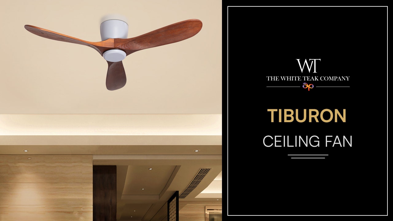 Tiburon (132 cm Span, Grey Finish Metal Body, Teakwood Finish Wooden Blades) Ceiling Fan