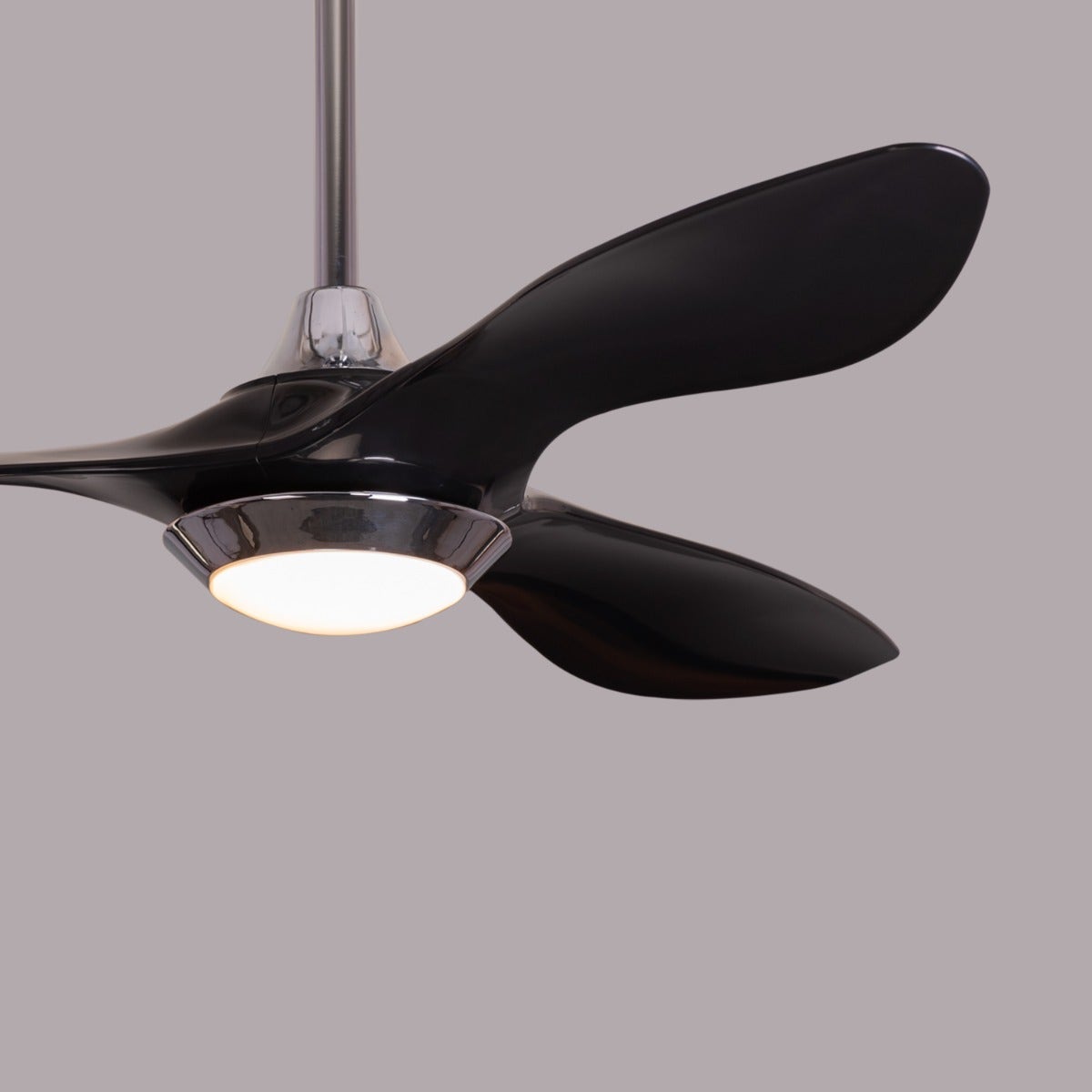 Bodrum Beauty (132 cm Span, Chrome Finish Metal Body, Black Finish ABS Blades) Dimmable LED With Remote Control Ceiling Fan