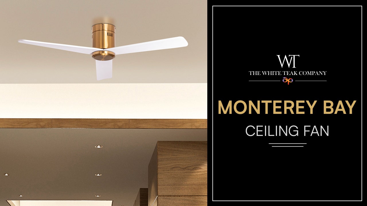 Monterey Bay (132 cm Span, Gold Finish Metal Body, White Finish Wooden Blades) Ceiling Fan