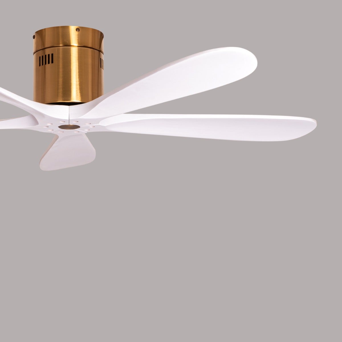Carmel (132 cm Span, Gold Finish Metal Body, White Finish Wooden Blades) Ceiling Fan