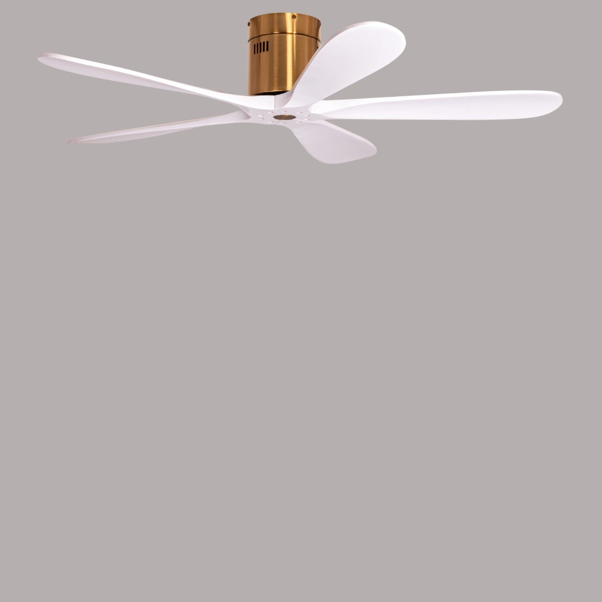 Carmel (132 cm Span, Gold Finish Metal Body, White Finish Wooden Blades) Ceiling Fan