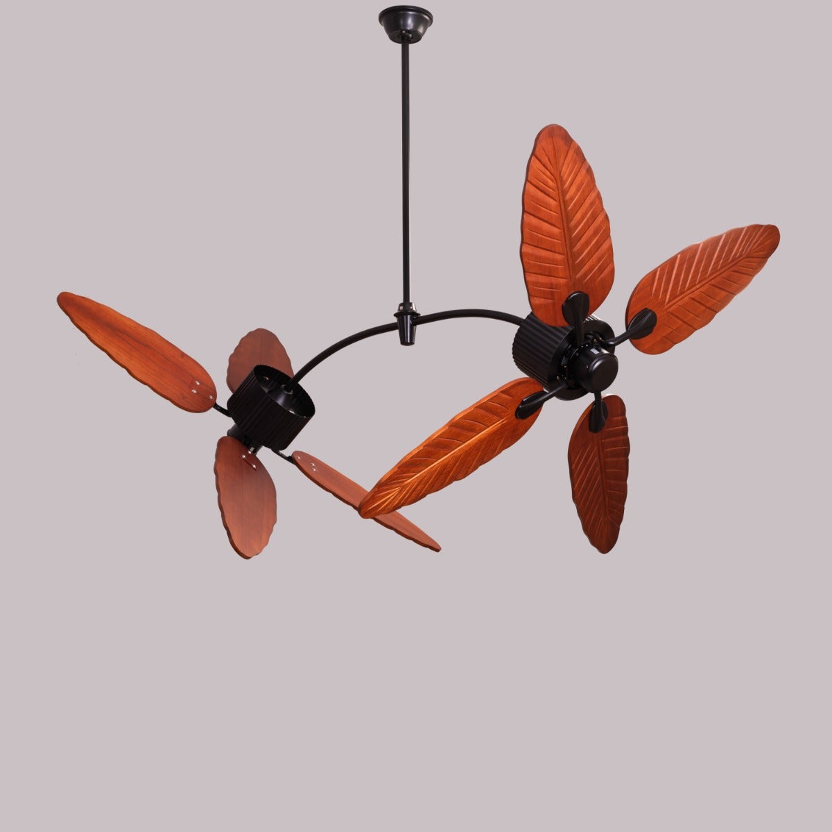 Ruby Hills (130 cm Span, Black Finish Metal Body, Walnut Finish ABS Blades) Ceiling Fan