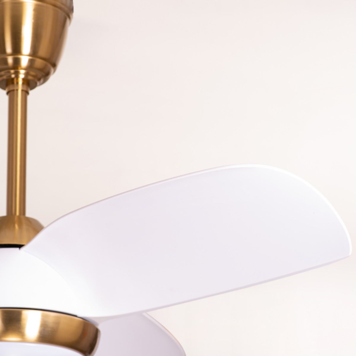 White Meadows (110 cm Span, Gold Finish Metal Body, White Finish ABS Blades) Dimmable LED With Remote Control Ceiling Fan