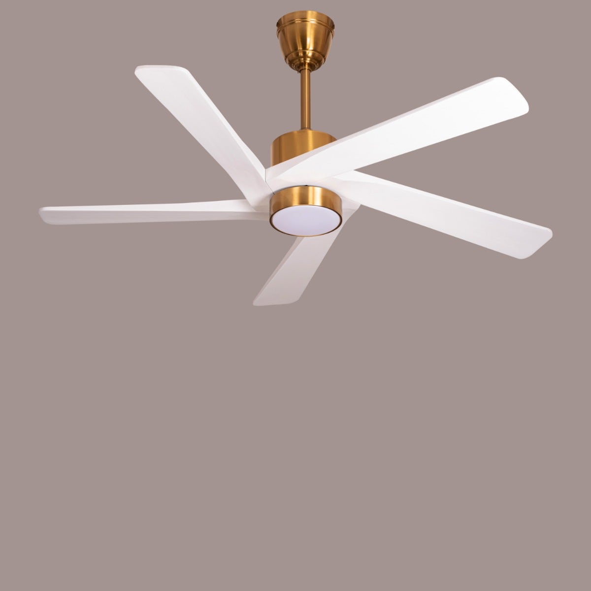 Bangkok Social (140 cm Span, Gold Finish Metal Body, White Finish Wooden Blades) Dimmable LED With Remote Control Ceiling Fan
